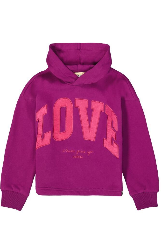 Kapuzenpullover Lila Kapuzenpullover (J544613988)