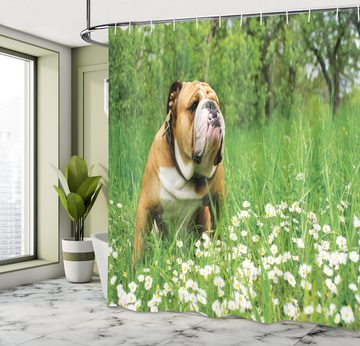 Abakuhaus Duschvorhang Moderner Digitaldruck mit 12 Haken auf Stoff Wasser Resistent Breite 175 cm, Höhe 180 cm, Englische Bulldogge Blossom Gänseblümchen