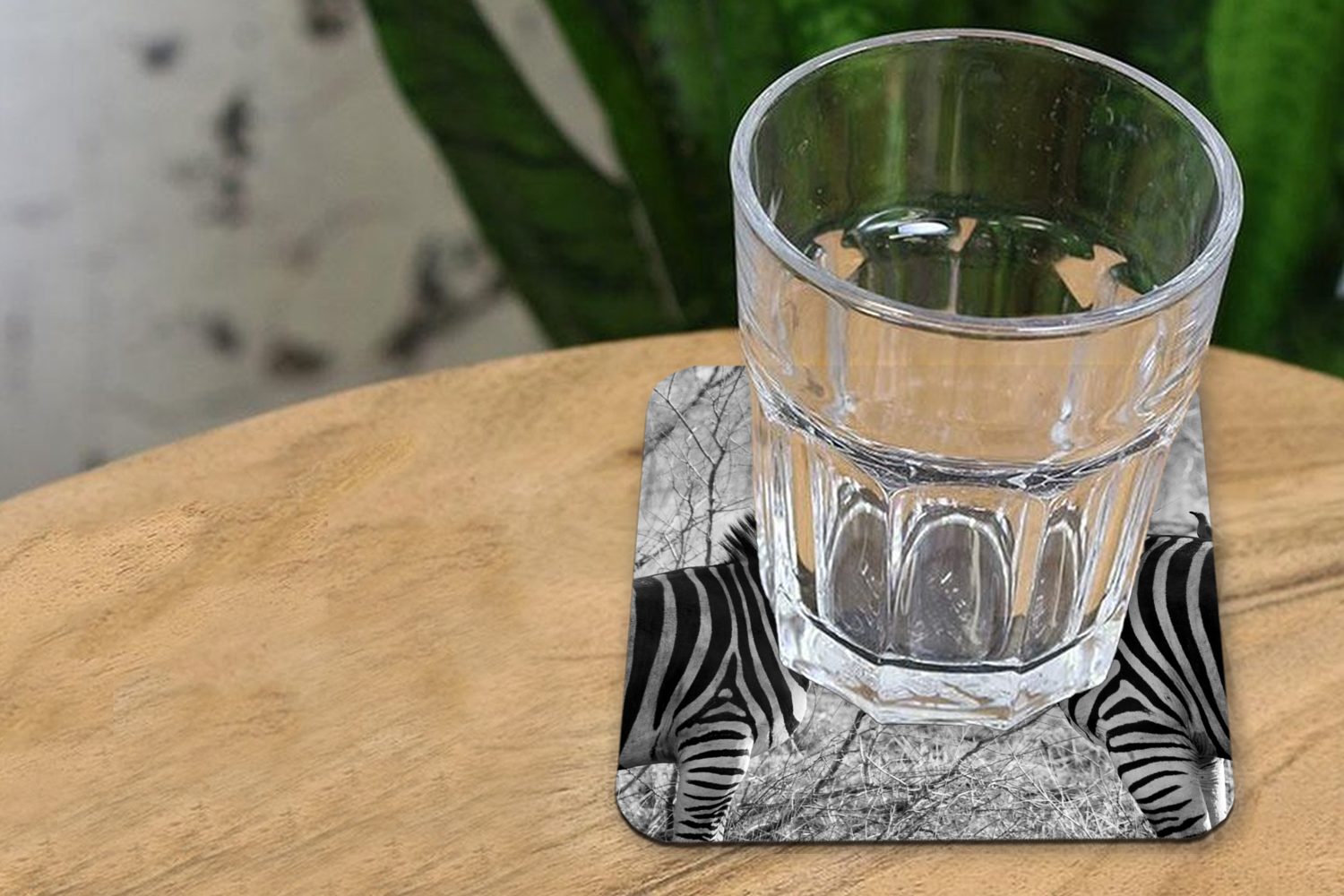 MuchoWow Glasuntersetzer Zwei Zebras, Tasse Gläser, für 6-tlg., Glasuntersetzer, Untersetzer, Zubehör Korkuntersetzer, Tischuntersetzer