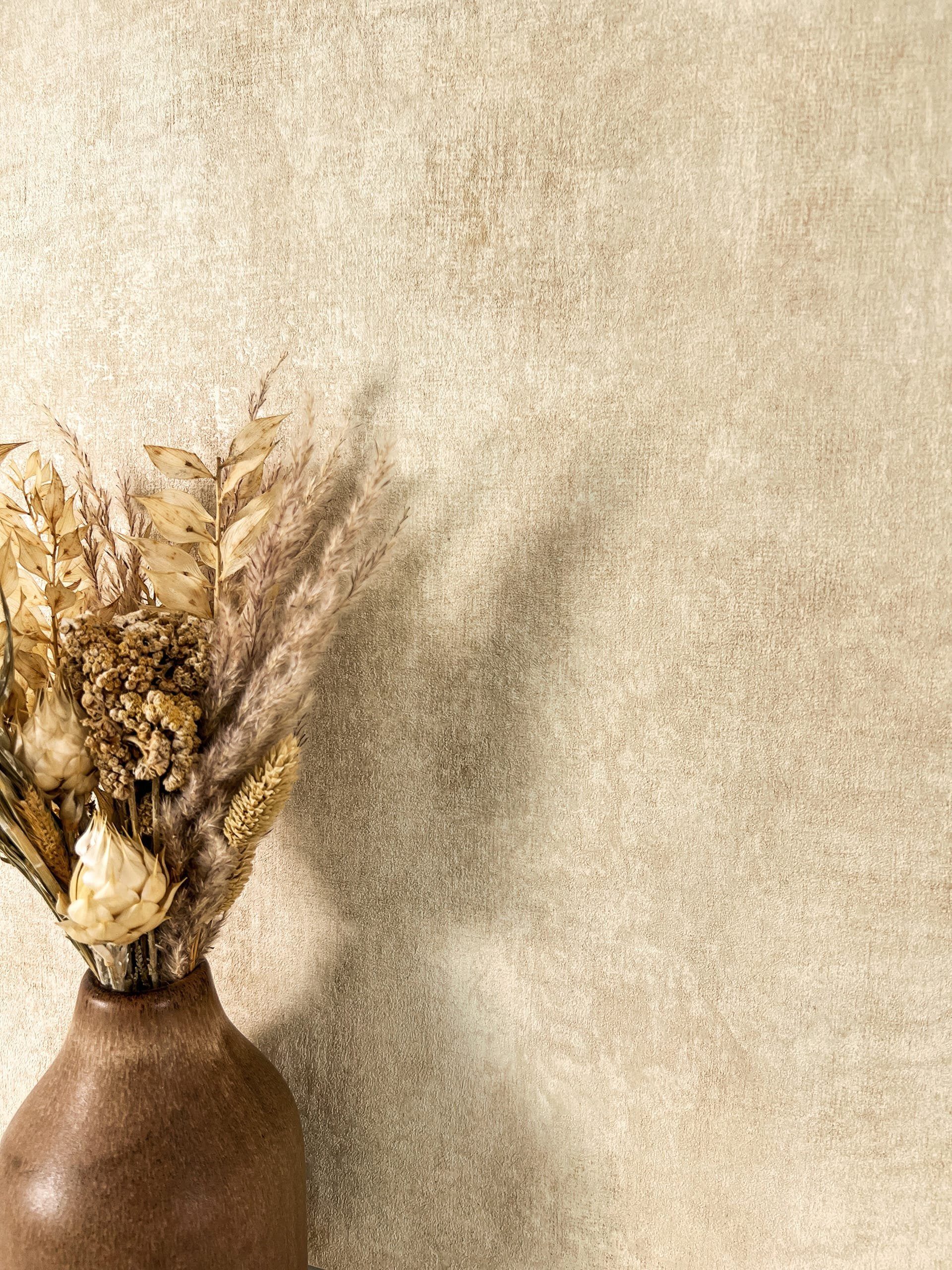 Newroom Vliestapete, Beige Tapete Modern Beton - Betonoptik Betonwand Creme günstig online kaufen