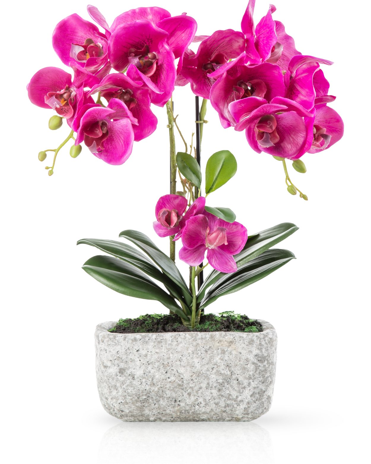 Kunstorchidee PASCH® Orchidee künstlich wie echt