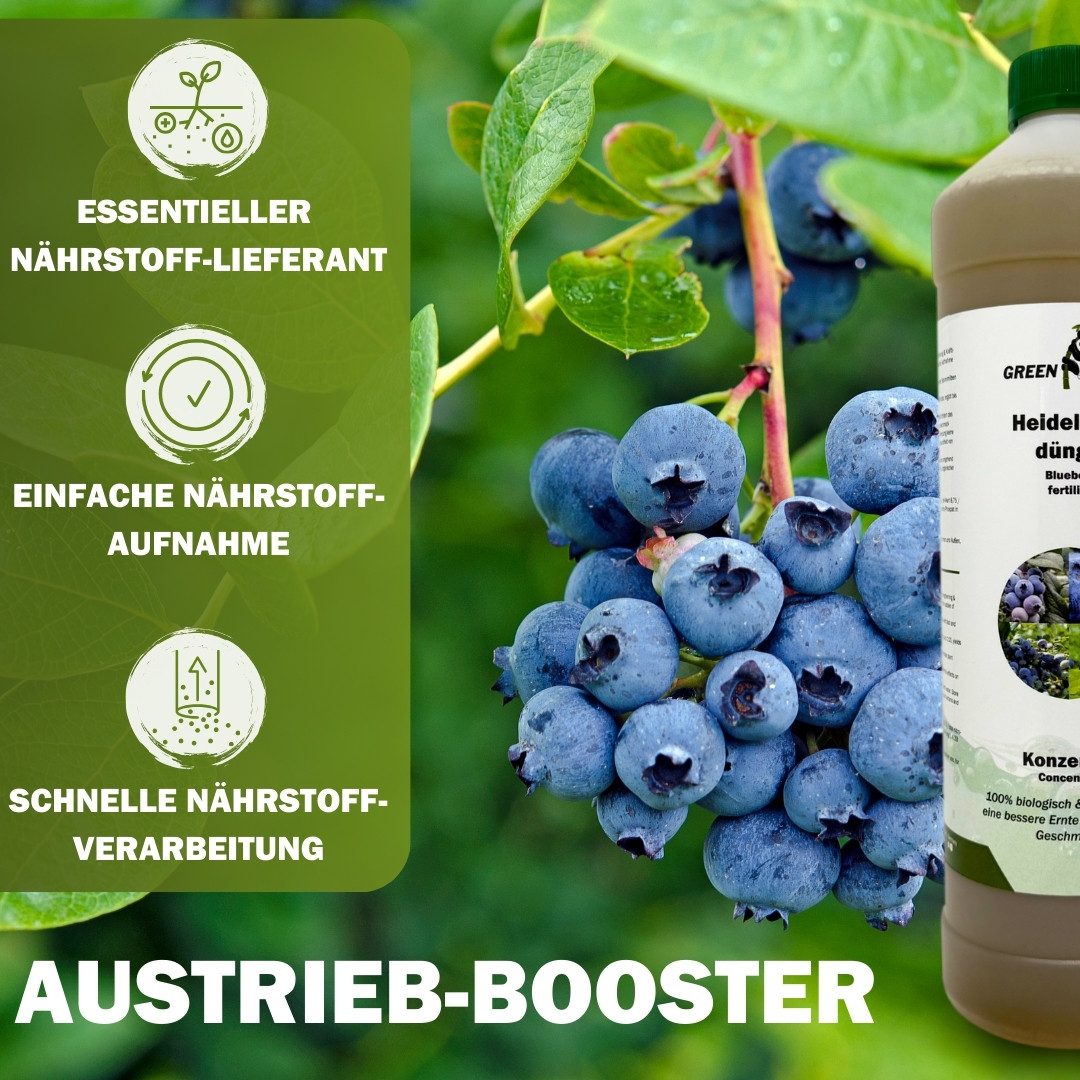GreenPanda Beerendünger Heidelbeer- & Blaubeerdünger - Verbessert Ernte & Geschmack!, Flasche, 1-St., 1 Liter Pflanzenstärkungsmittel! – Bild 3 von 5