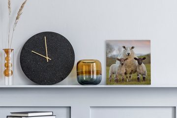 OneMillionCanvasses® Leinwandbild Schafe - Gras - Porträt, (1 St), Leinwand Bilder für Wohnzimmer Schlafzimmer