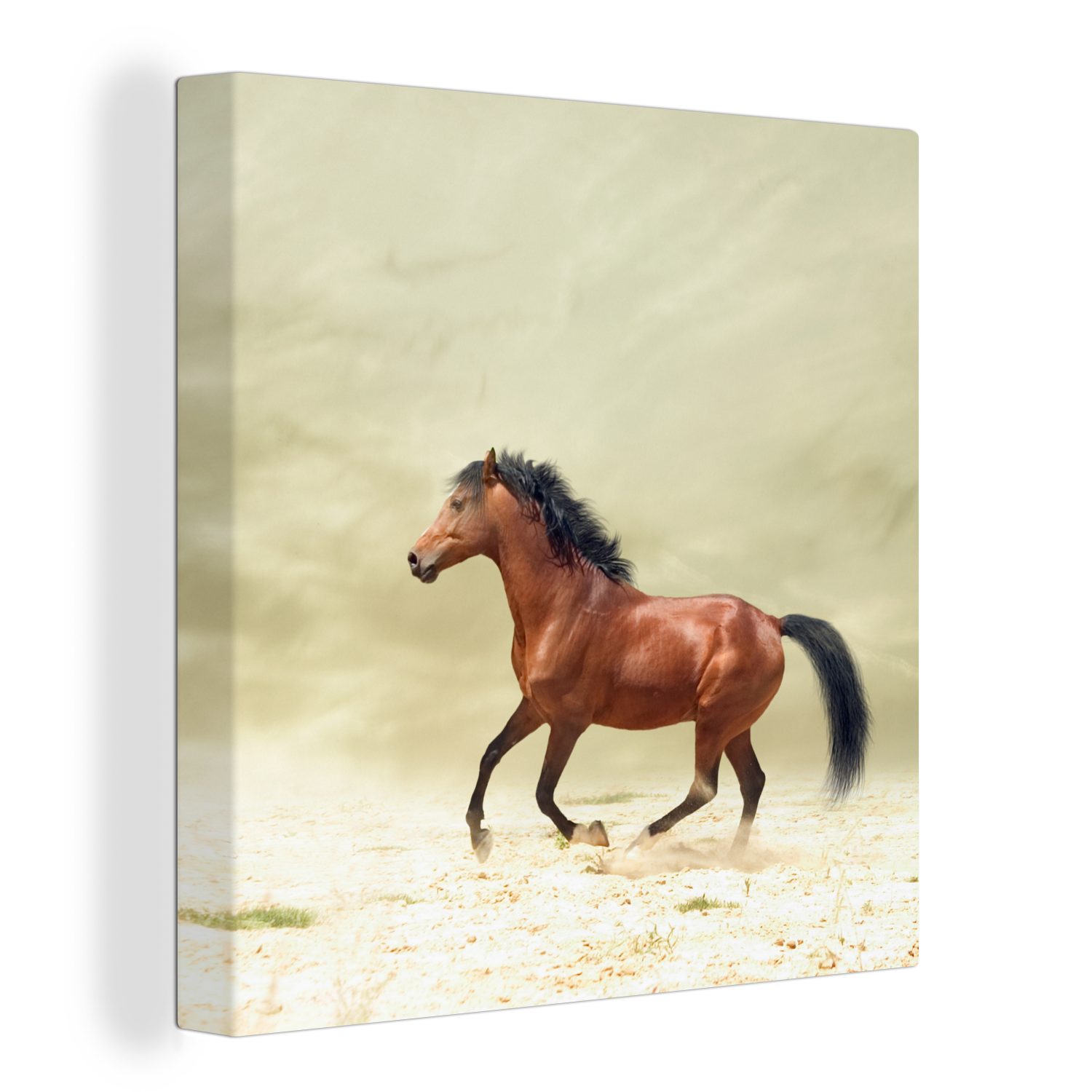 OneMillionCanvasses® Leinwandbild Pferd - Stoff - Sand, (1 St), Leinwand Bilder für Wohnzimmer Schlafzimmer bunt