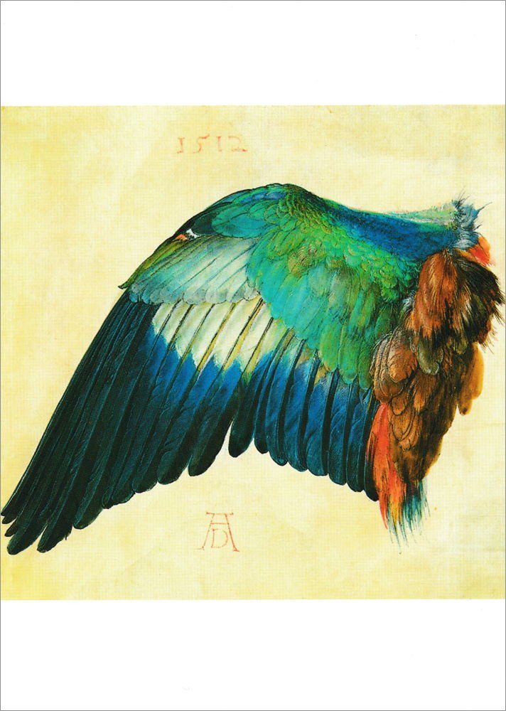 Albrecht Postkarte "Blauracke" Dürer Kunstkarte