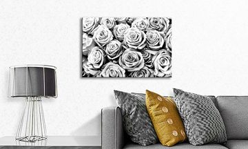WandbilderXXL Leinwandbild Creamy Roses, Rosen (1 St), Wandbild,in 6 Größen erhältlich