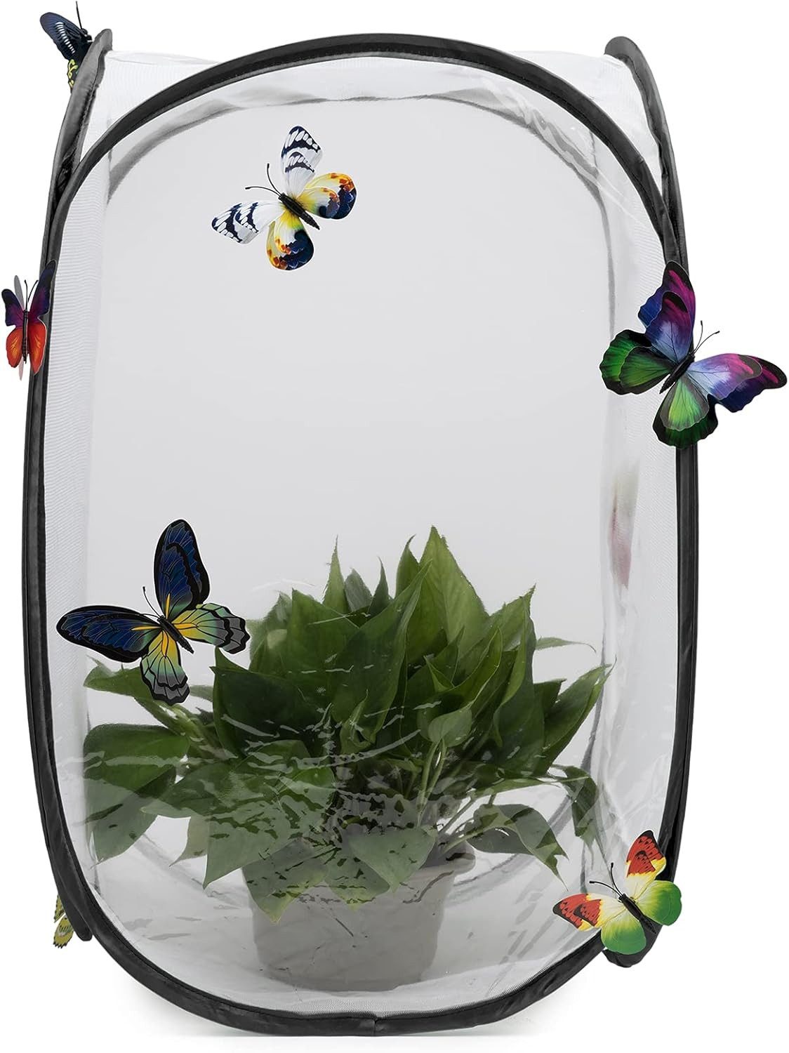 FELIXLEO Volierendraht Insekt Schmetterling Habitat Käfig Terrarium Schwarz