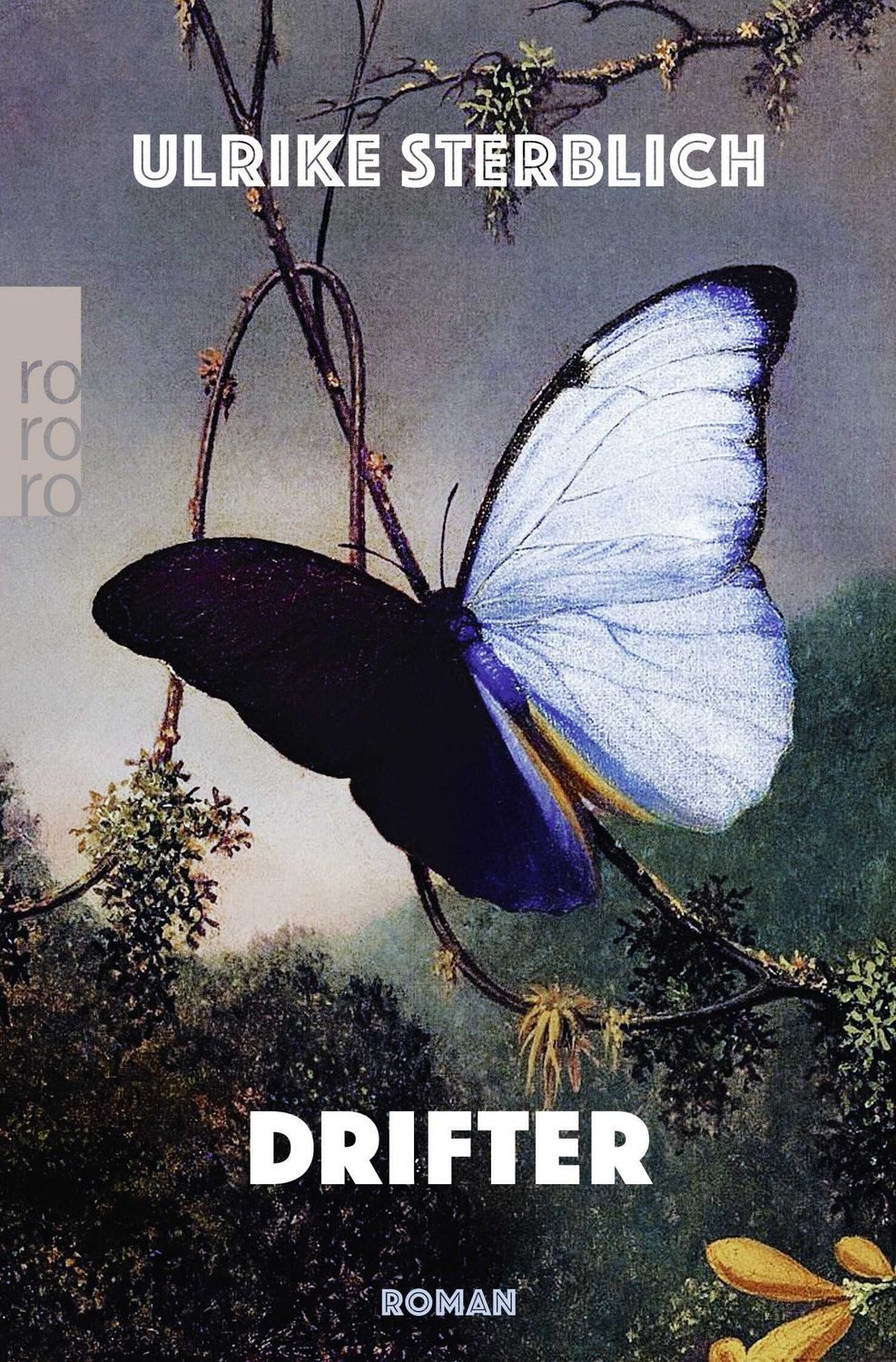Drifter / Ulrike Sterblich, Deutscher Buchpreis