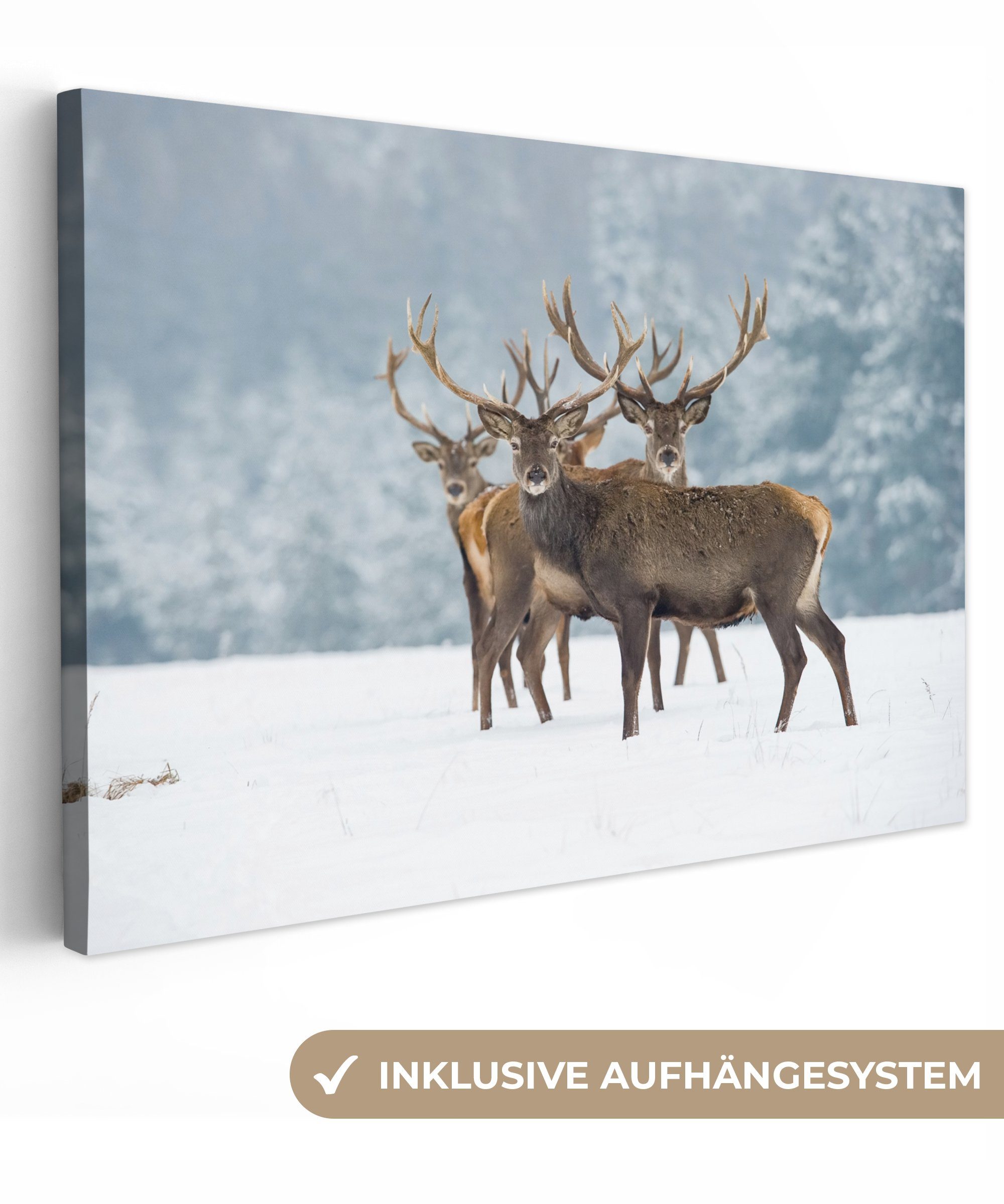 OneMillionCanvasses® Leinwandbild Hirsche - Tiere - Schnee - Winter - Lands günstig online kaufen