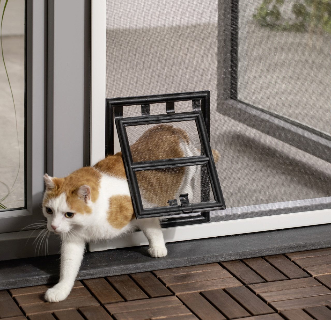 Primaster Katzenklappe Primaster Katzenklappe für Fliegenschutzfenster 24