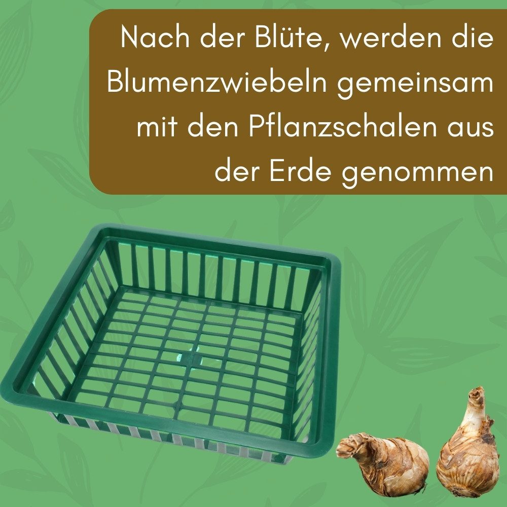 GarPet Pflanzschale 12er Set Pflanzkörbe für Blumenzwiebeln Pflanzkorb Schale 28x26 cm