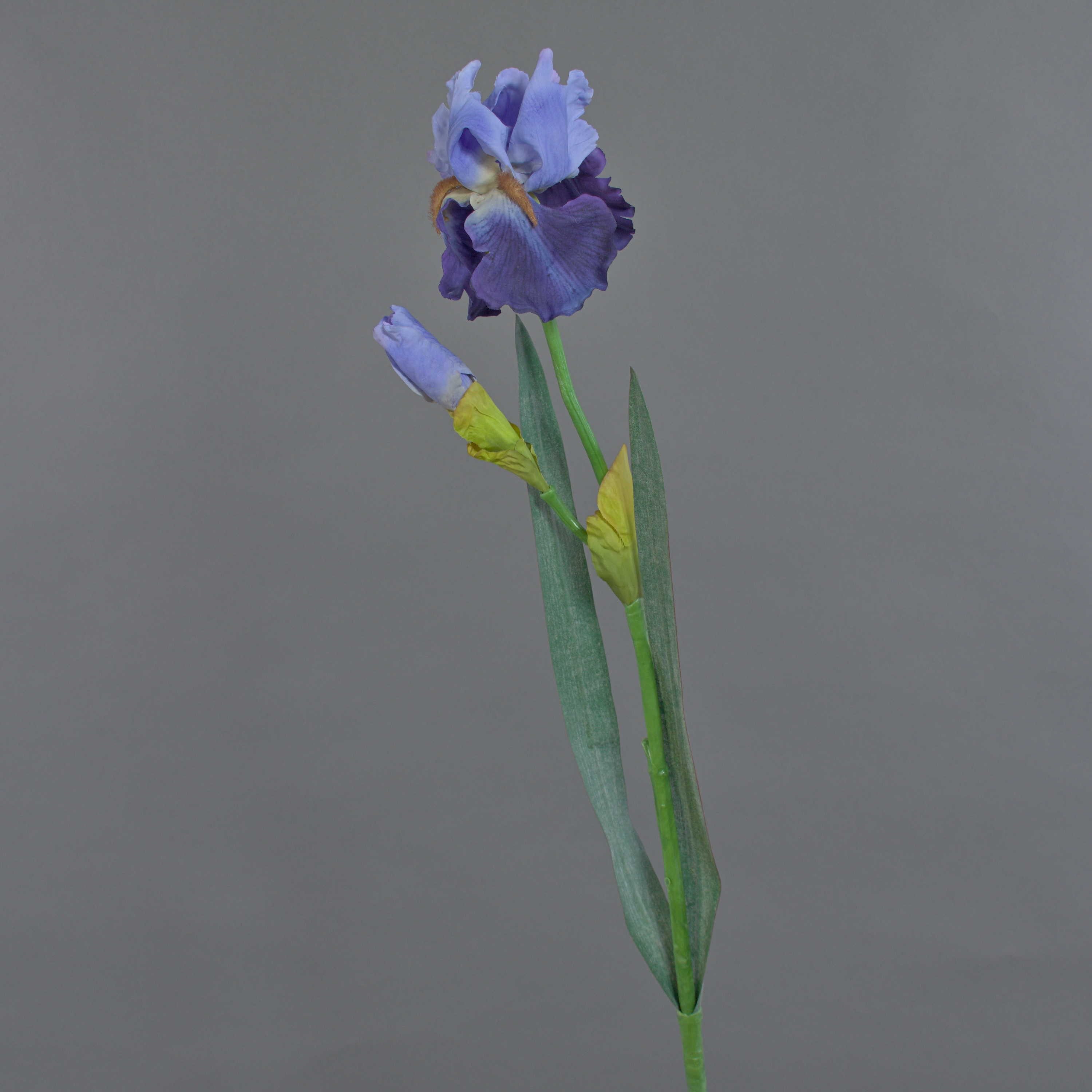 Kunstblume Künstliche Iris, blau, Deluxe, 70cm Iris, artplants, Höhe 70.0 cm