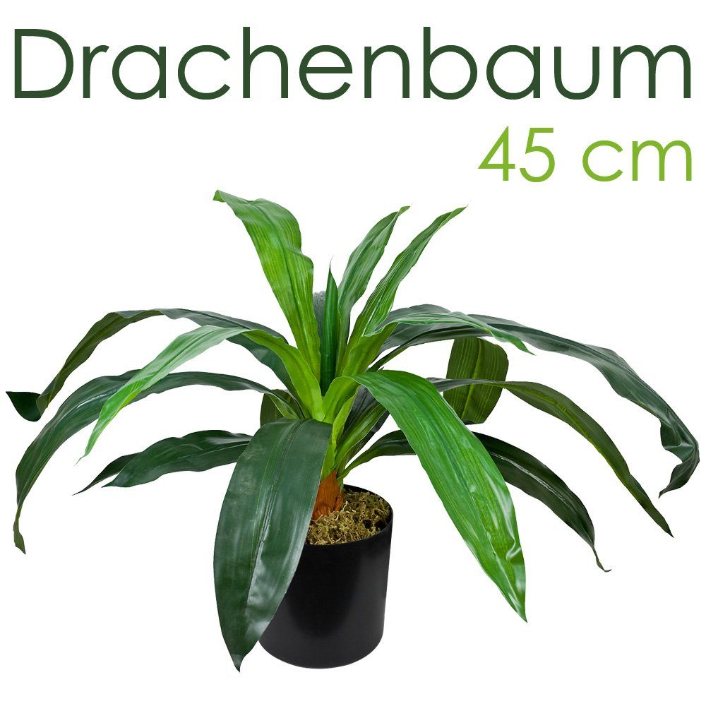 Künstliche Zimmerpflanze Drachenbaum Kunstpflanze Künstliche Pflanze mit Topf 45cm Dekoration