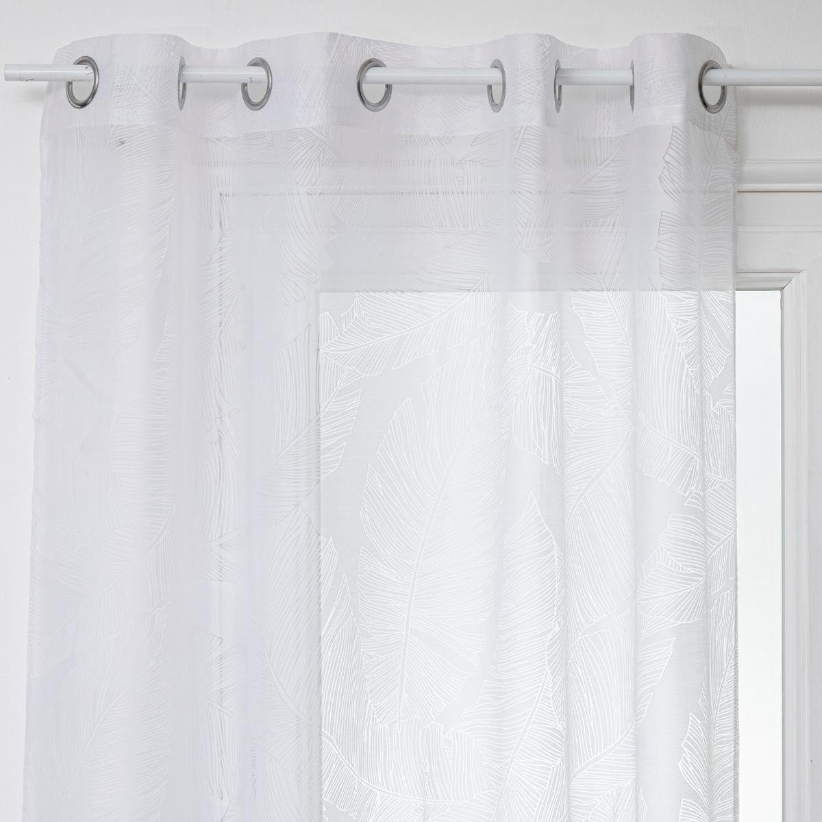 Atmosphera Créateur d'intérieur Gardine, (1 St), günstig online kaufen