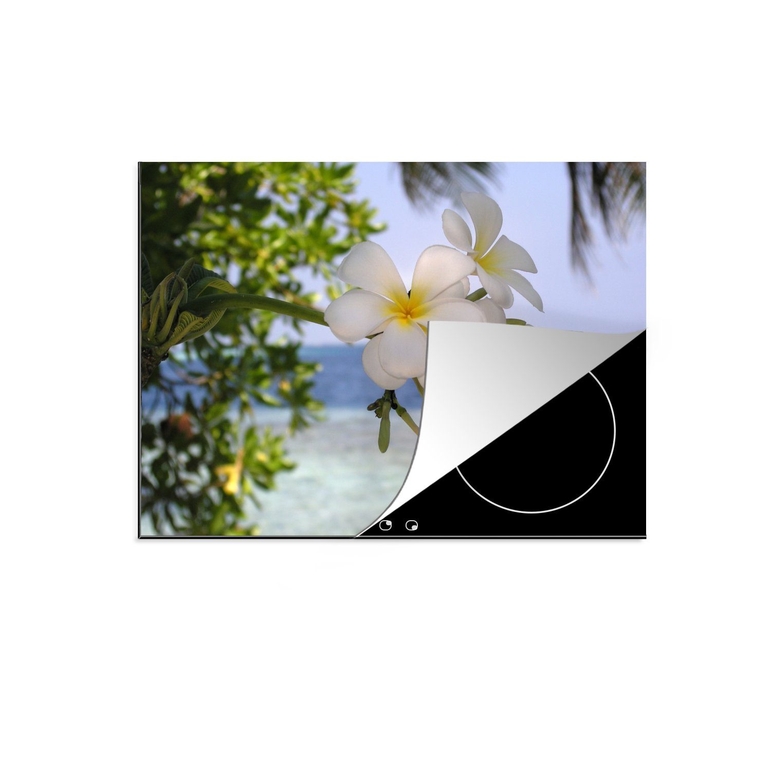 MuchoWow Herdblende-/Abdeckplatte Plumeria-Blüten in einer tropischen Gegend, Vinyl, (1 tlg), 70x52 cm, Mobile Arbeitsfläche nutzbar, Ceranfeldabdeckung