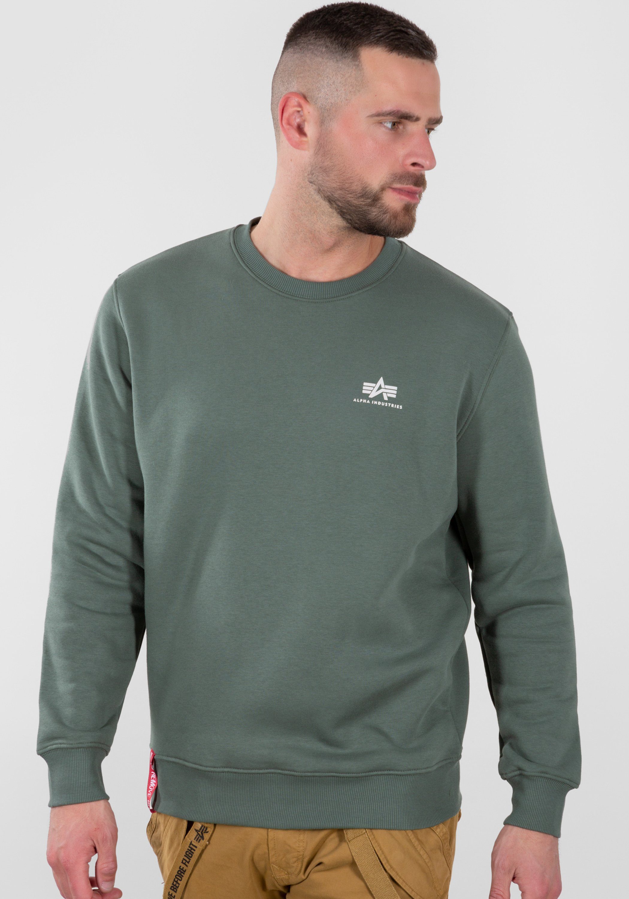 Alpha Basic Sweater Sweatshirts Logo Small Alpha - vintage Industries Industries green Men Sweater