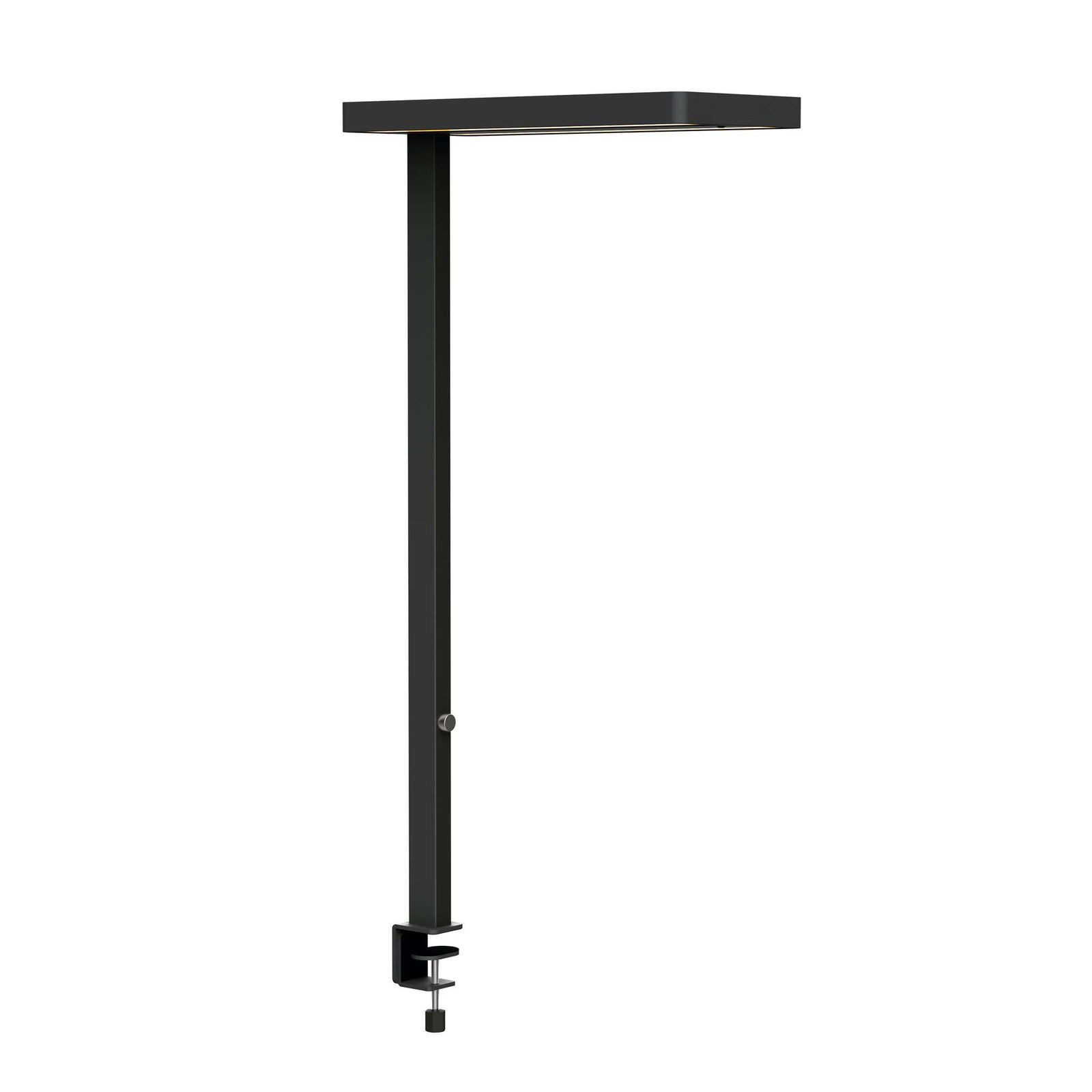 MAUL Stehlampe MAUL Tischaufbau Leuchte MAULjuvis LED 4.000 K dimmbar Klemmfuß 120 cm, LED wechselbar