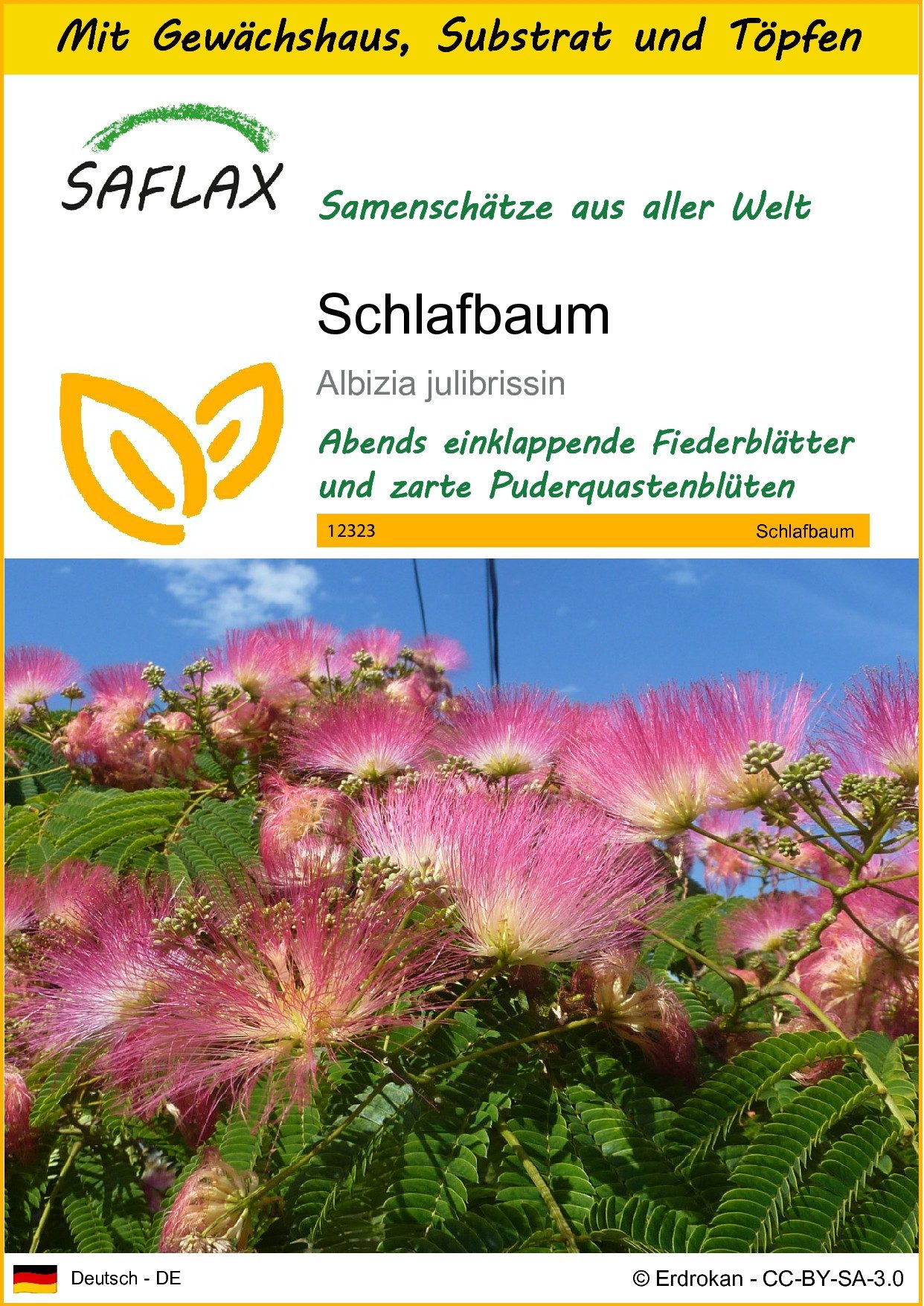 Blumensamen SAFLAX - Anzuchtset - Schlafbaum