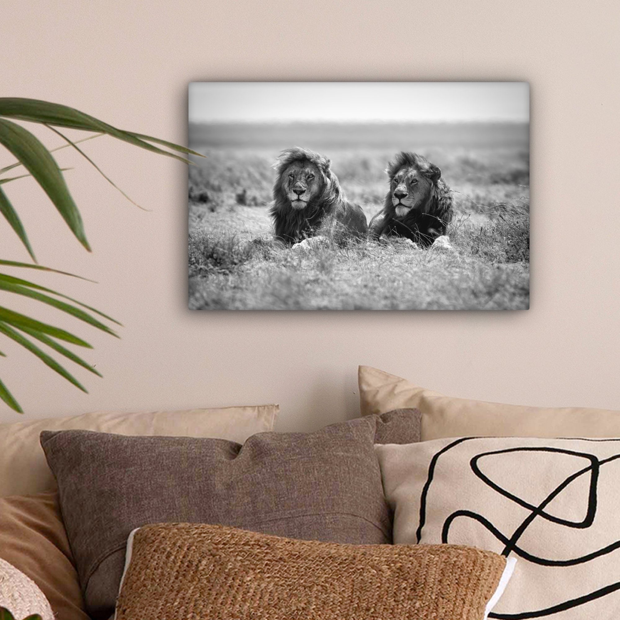 OneMillionCanvasses® Leinwandbild Löwen - Tiere - günstig online kaufen