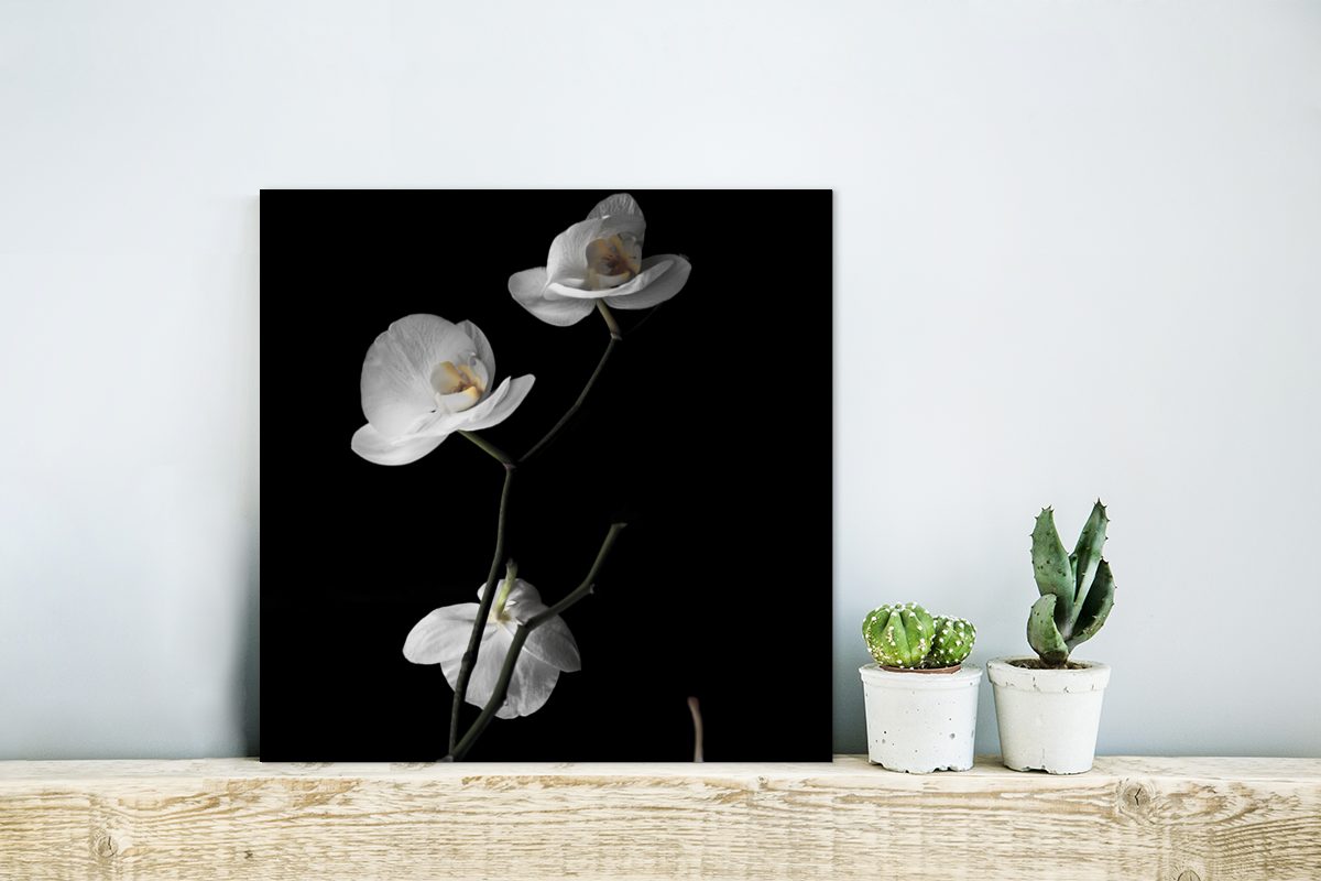 Gemälde deko Weiß - Blumen Schwarz (1 aus St), MuchoWow Stilleben, - - Metallbild Orchidee Metall, - Aluminium Alu-Dibond-Druck,