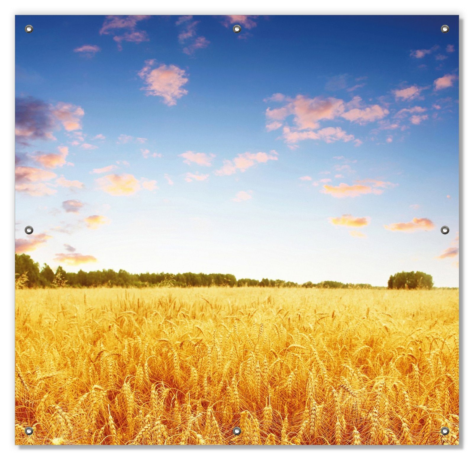 und blauem wiederablösbar wiederverwendbar Weizenfeld unter Himmel, mit Sonnenschutz Wallario, Saugnäpfen, blickdicht,