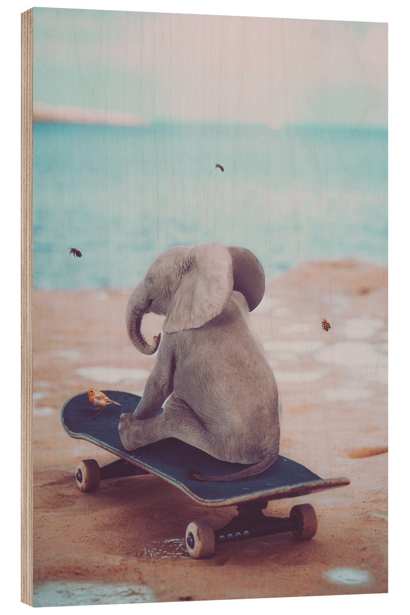 Posterlounge Wandbild Kleiner Elefant fährt Skateboard, Gen Z, erhältlich als Poster, Leinwandbild, Wandsticker oder Acrylglasbild