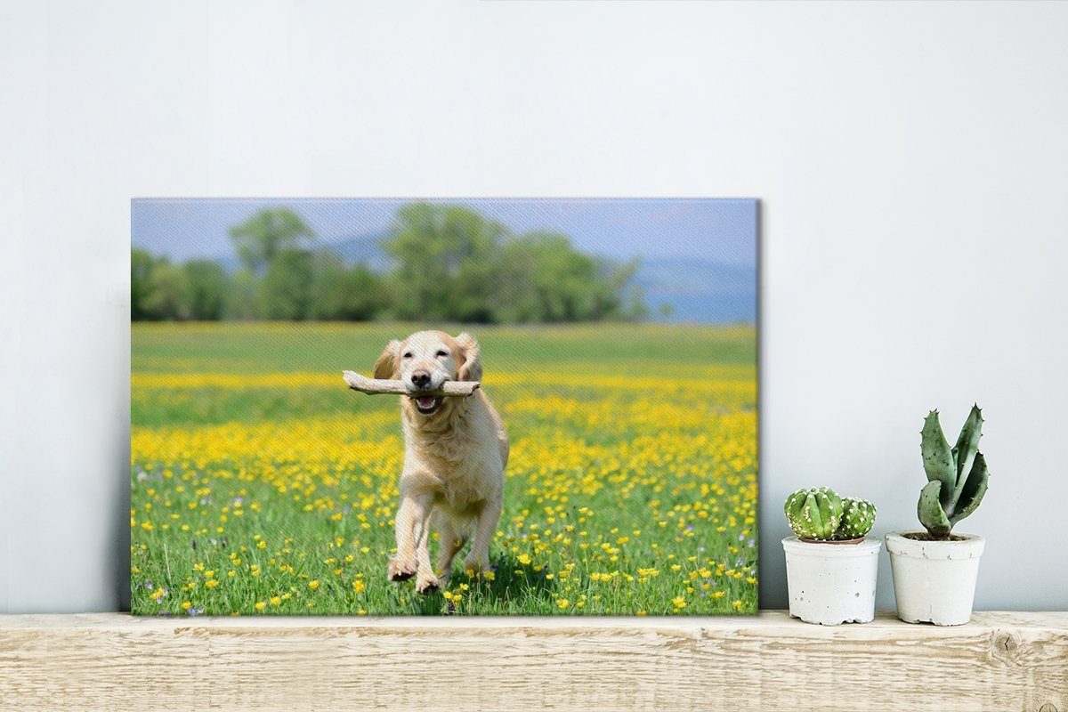 OneMillionCanvasses® gelben (1 Wanddeko, St), im einem Leinwandbilder, mit Leinwandbild cm 30x20 Retriever Wandbild Blumen, Golden Maul Zweig Aufhängefertig, zwischen