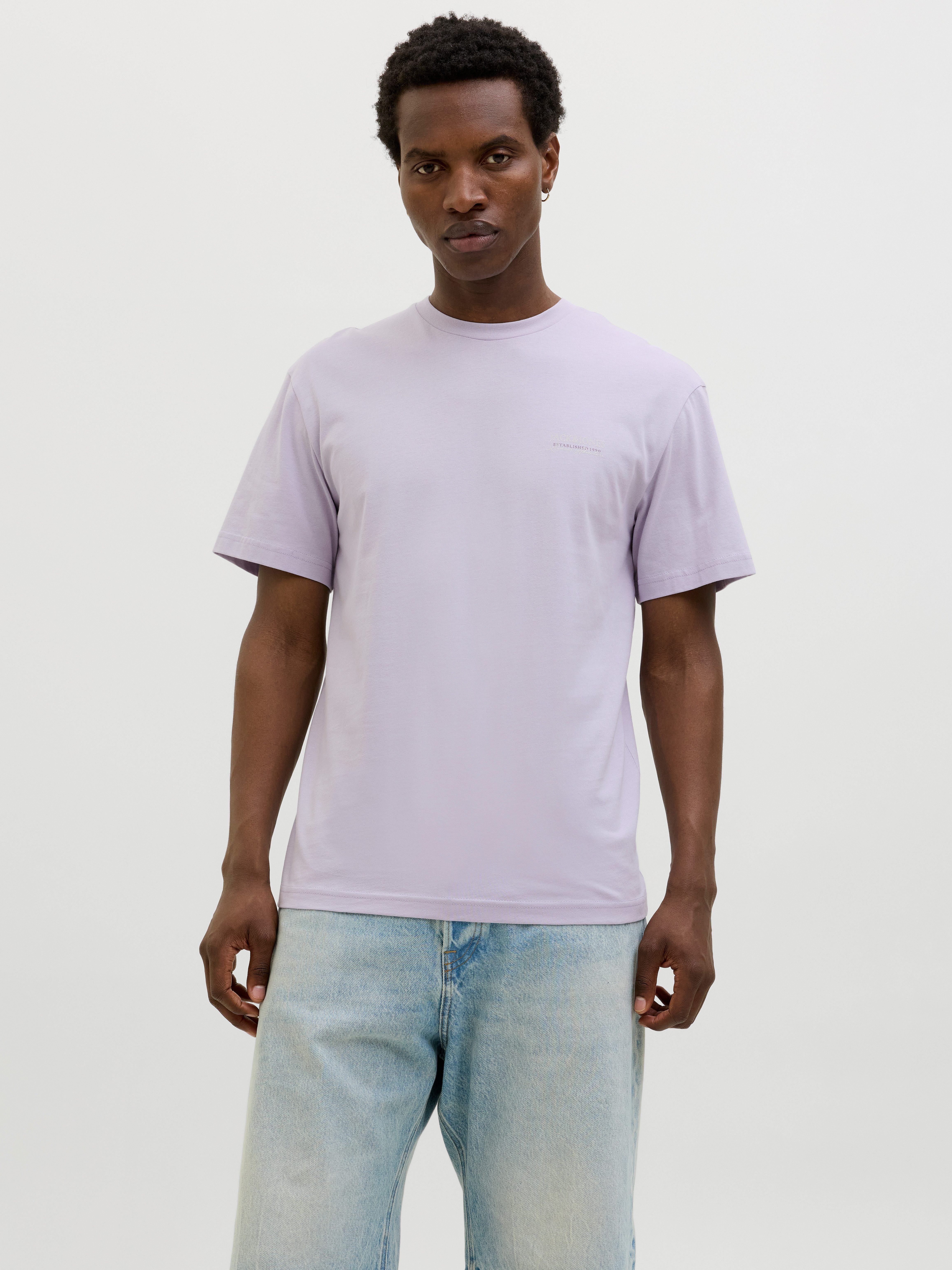 Jack & Jones Rundhalsshirt JJSUMMER VIBES günstig online kaufen