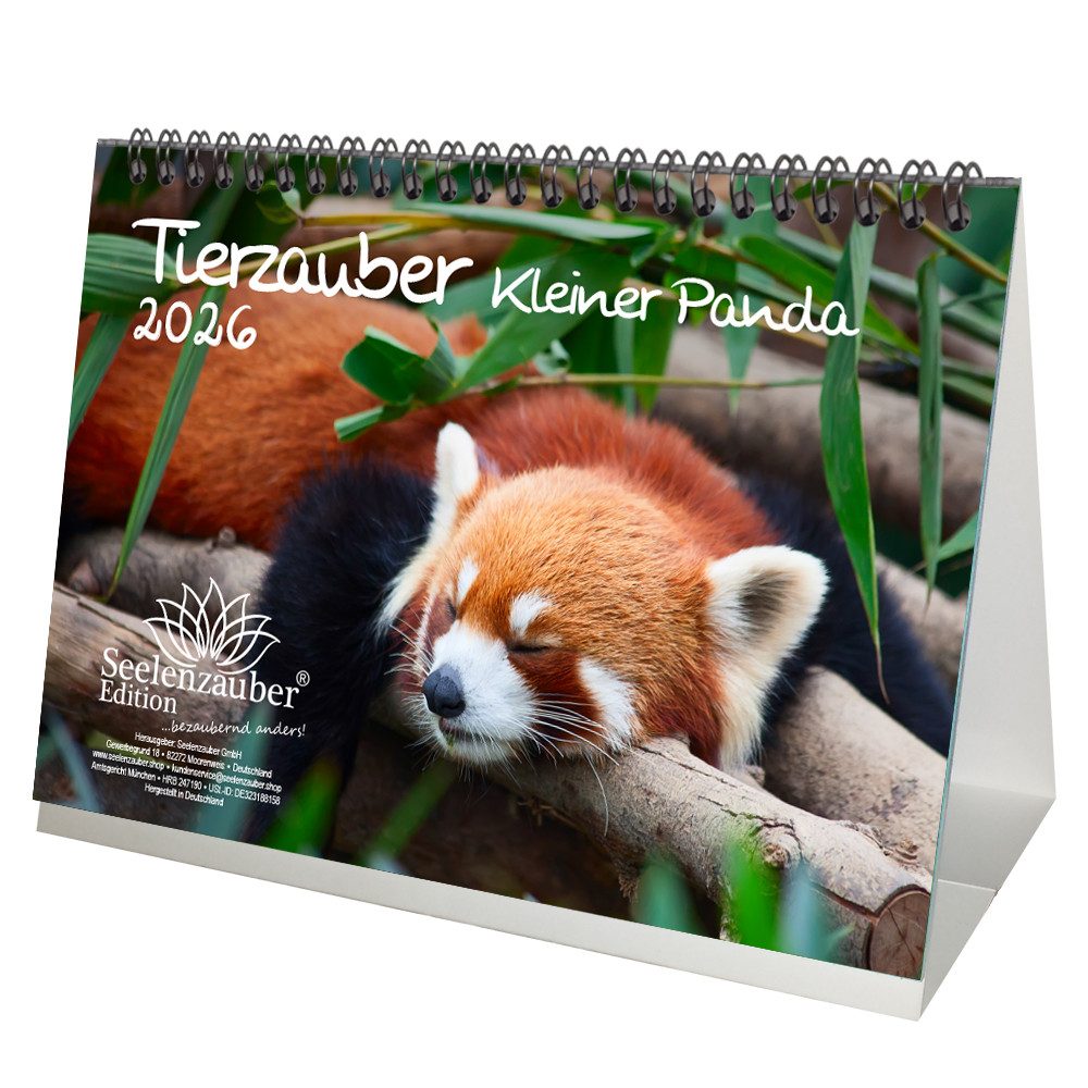 Seelenzauber Tischkalender Tierzauber Kleiner Panda DIN A5 Tischkalender für 2026 Roter Panda