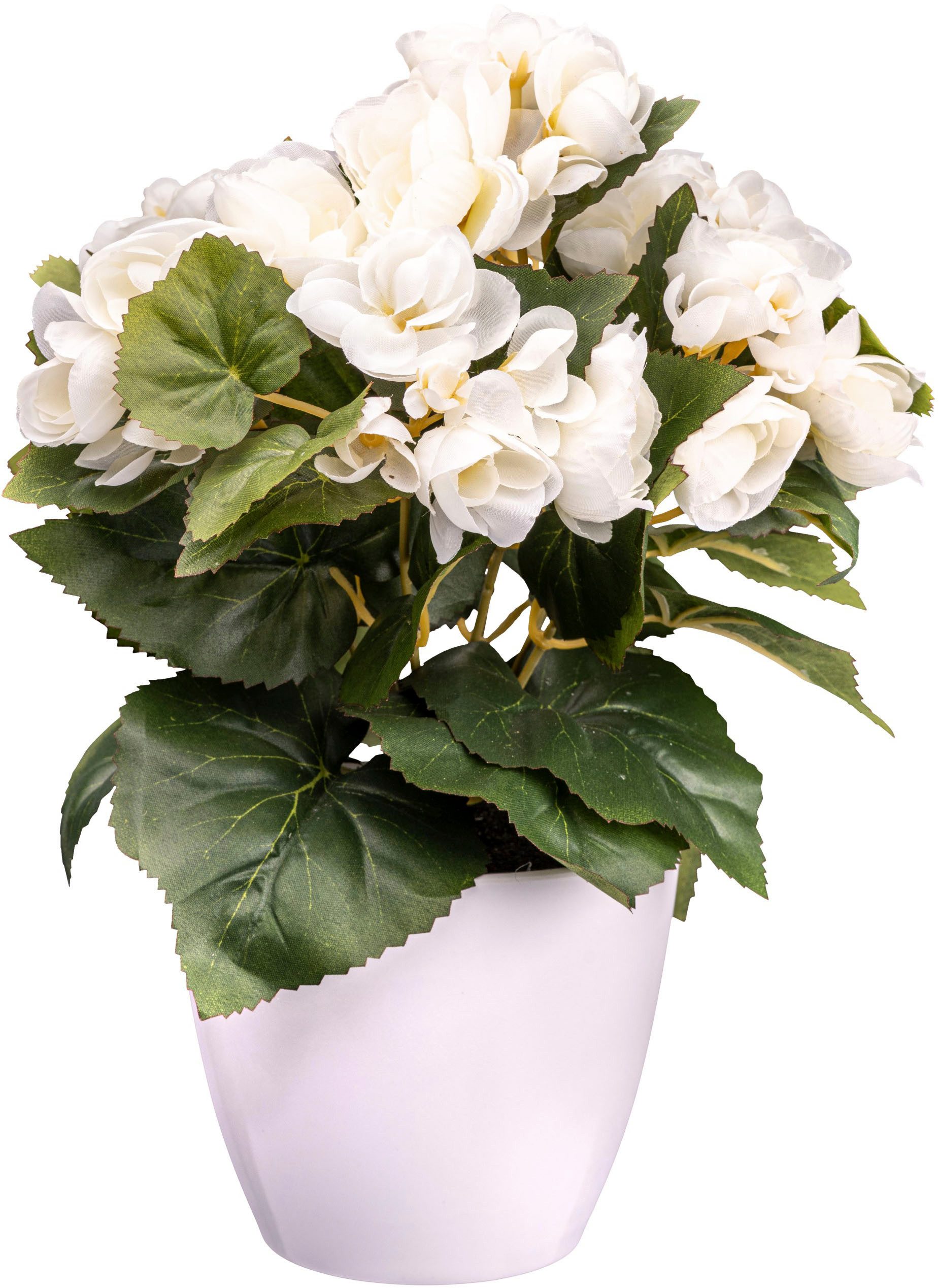Kunstblume Begonie Blühpflanze, Creativ green, Höhe günstig online kaufen
