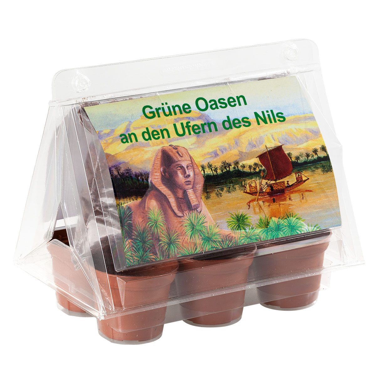 Blumensamen Mini-Gewächshaus -Oasen des Nil - mit Samen der Zwerg-Dattelpalme