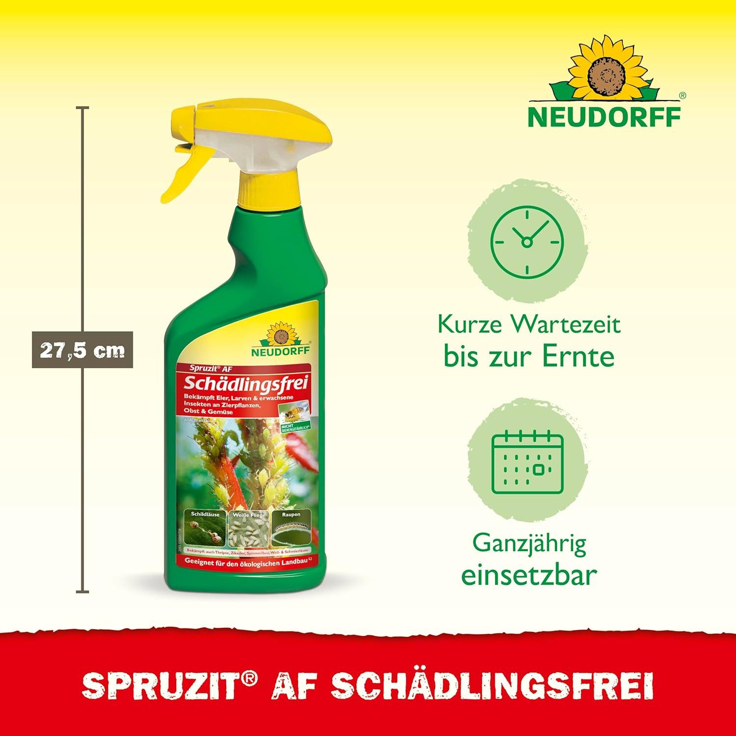 Neudorff Insektenspray Insektenspray Spruzit AF Schädlingsfrei 500ml, 500 ml, Einsetzbar an Zierpflanzen, Gemüse, Obst und Kräutern, Mit Pyrethrinen & Rapsöl, nicht bienengefährlich (B4)