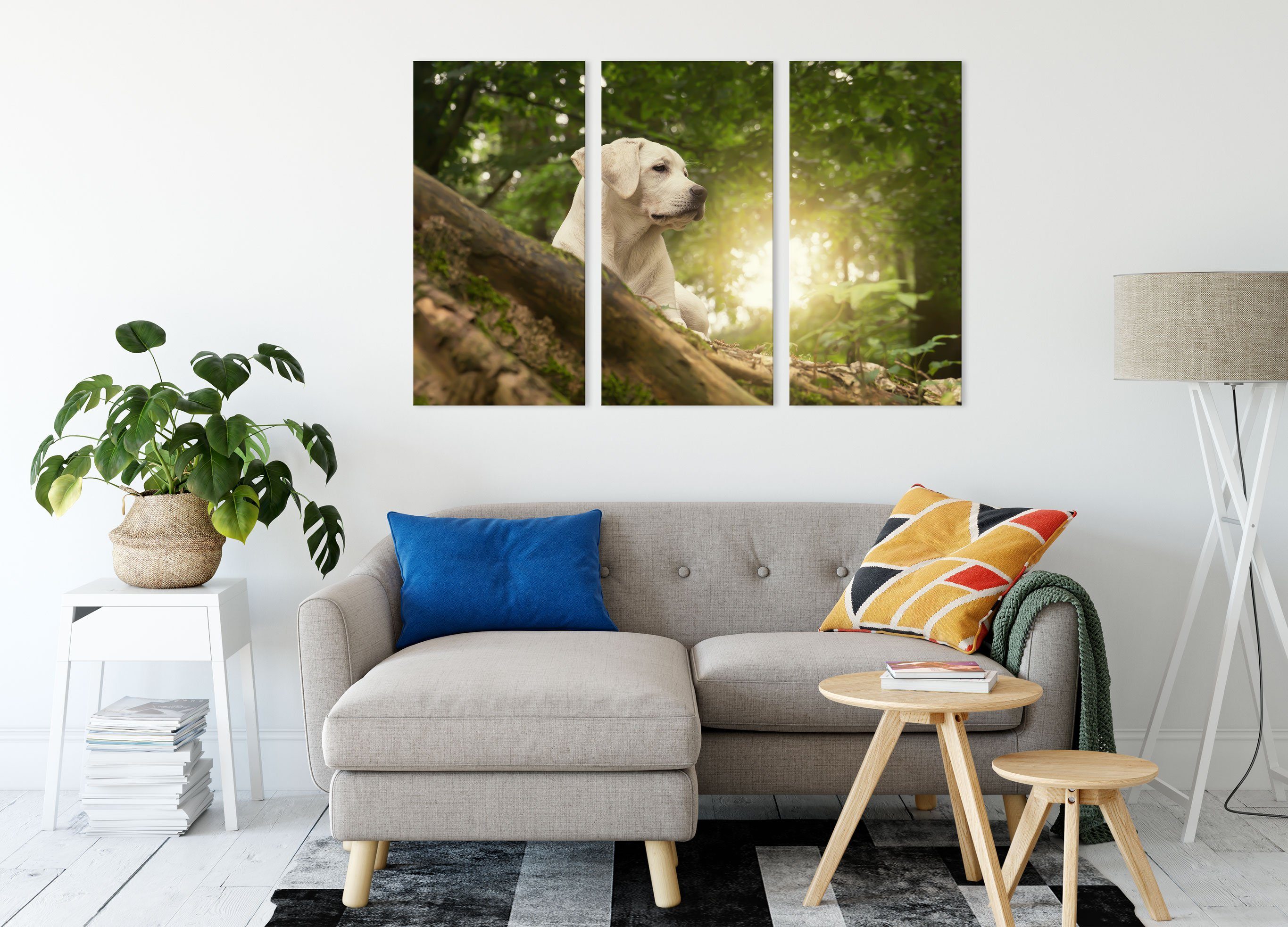 Pixxprint Leinwandbild Labrador Welpe im inkl. Wald, fertig (120x80cm) (1 Leinwandbild St), bespannt, Labrador Zackenaufhänger 3Teiler im Wald Welpe