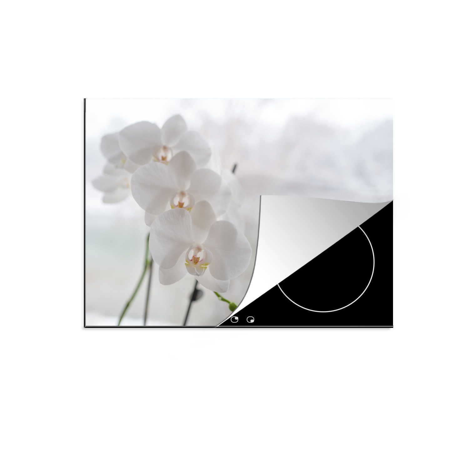 MuchoWow Herdblende-/Abdeckplatte Die weißen Orchideen hinter dem Fenster, Vinyl, (1 tlg), 70x52 cm, Mobile Arbeitsfläche nutzbar, Ceranfeldabdeckung | Herdabdeckplatten