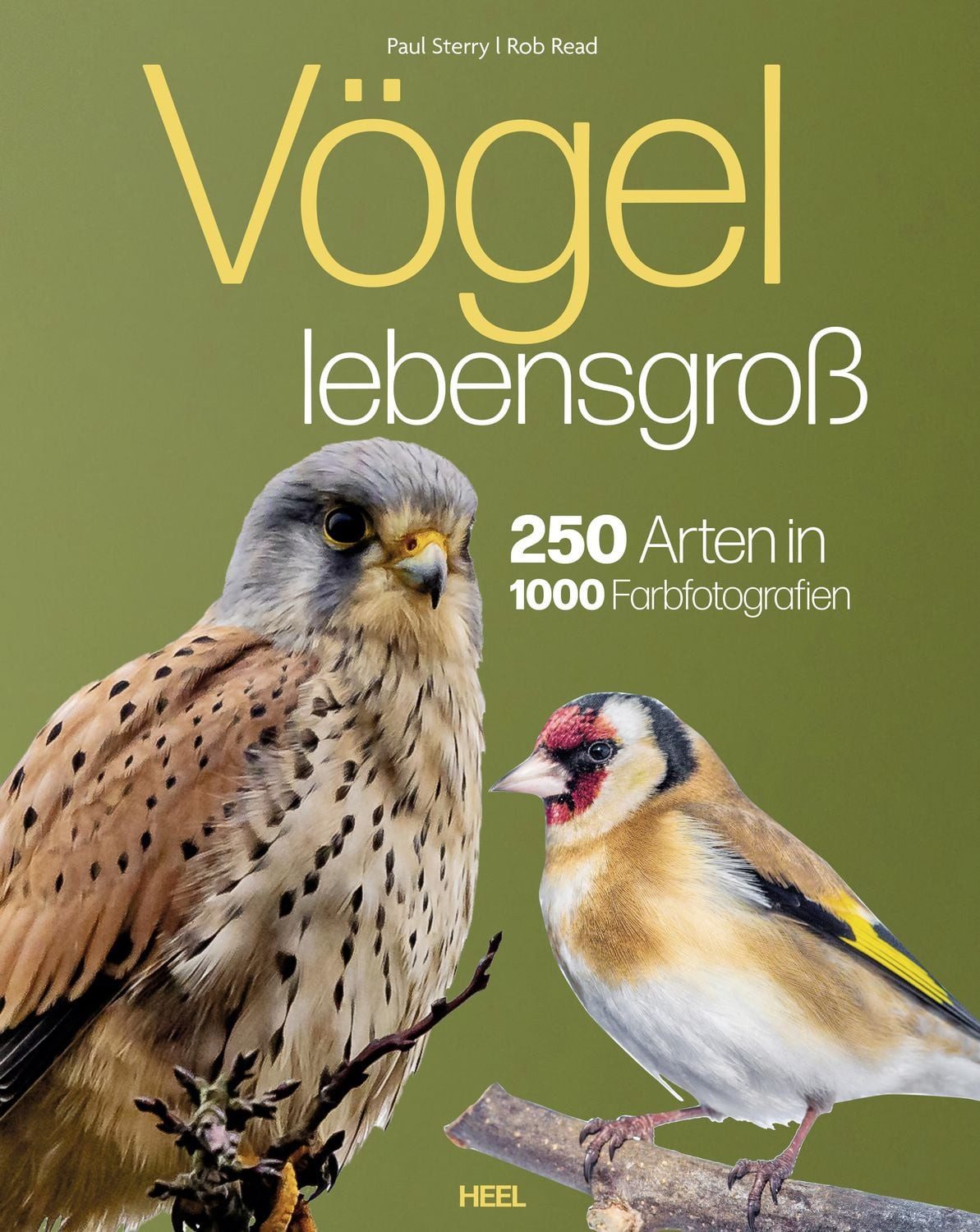Vögel lebensgroß / Paul Sterry, Bob Read