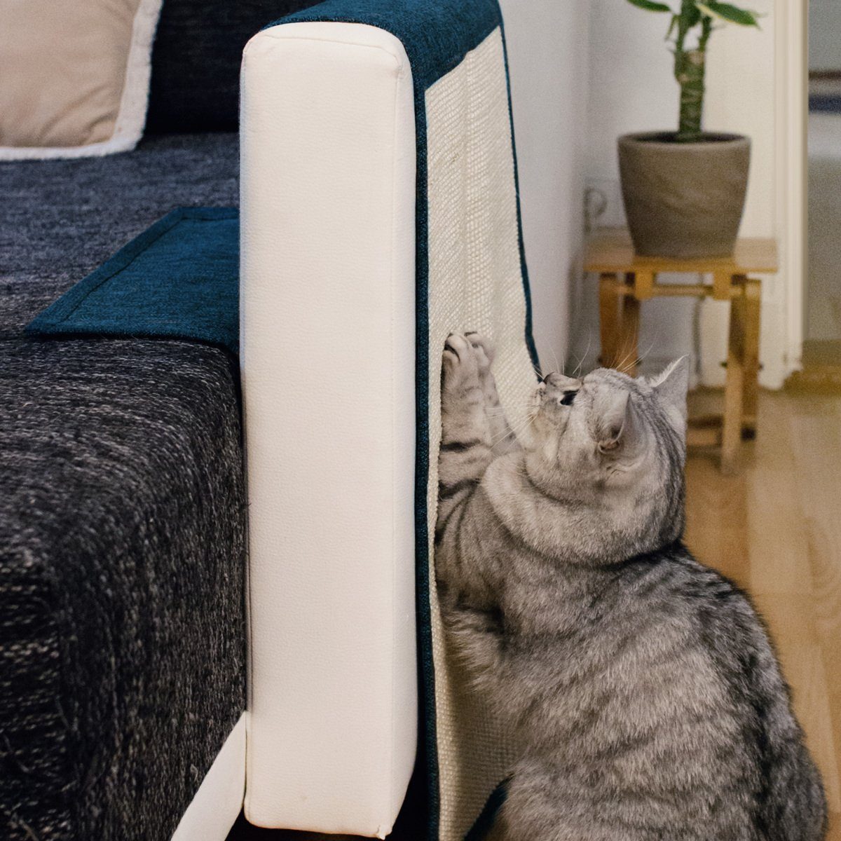 Navaris Kratzpappe Katzen Kratzmatte Kratzschutz Sofa günstig online kaufen