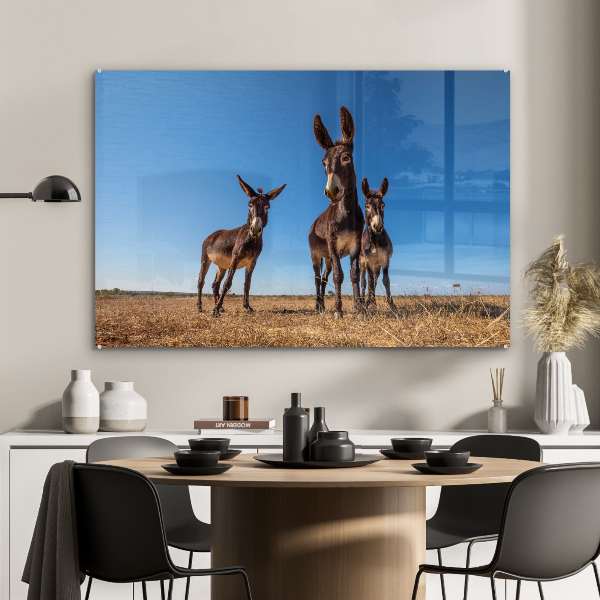 in Drei Landschaft, (1 einer St), MuchoWow Schlafzimmer Acrylglasbilder Wohnzimmer & Acrylglasbild Esel