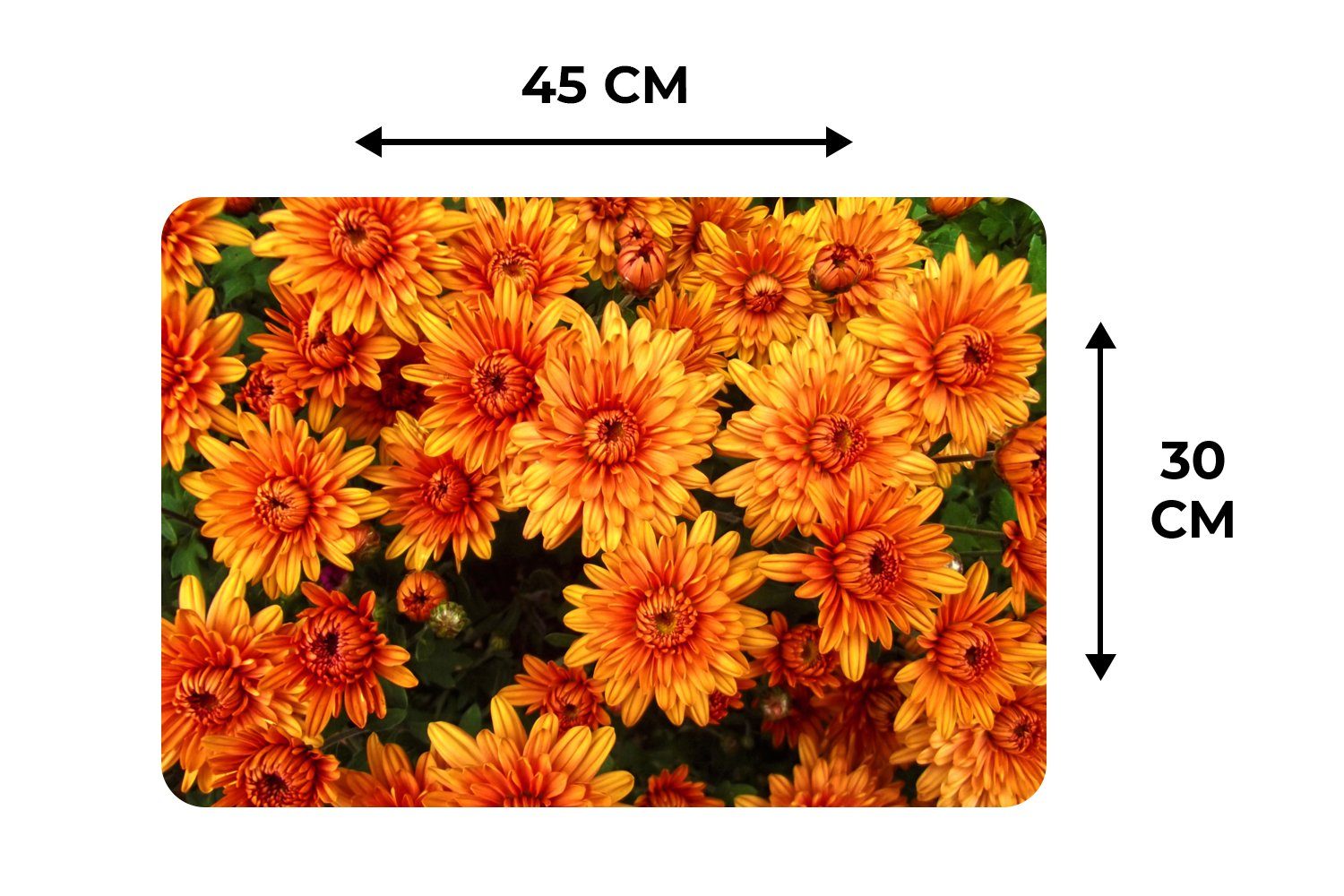 Platzset, Chrysantheme, - Platzdecken, (6-St), Blumen Schmutzabweisend Platzset, - Orange MuchoWow, Platzmatte, Tischmatten,