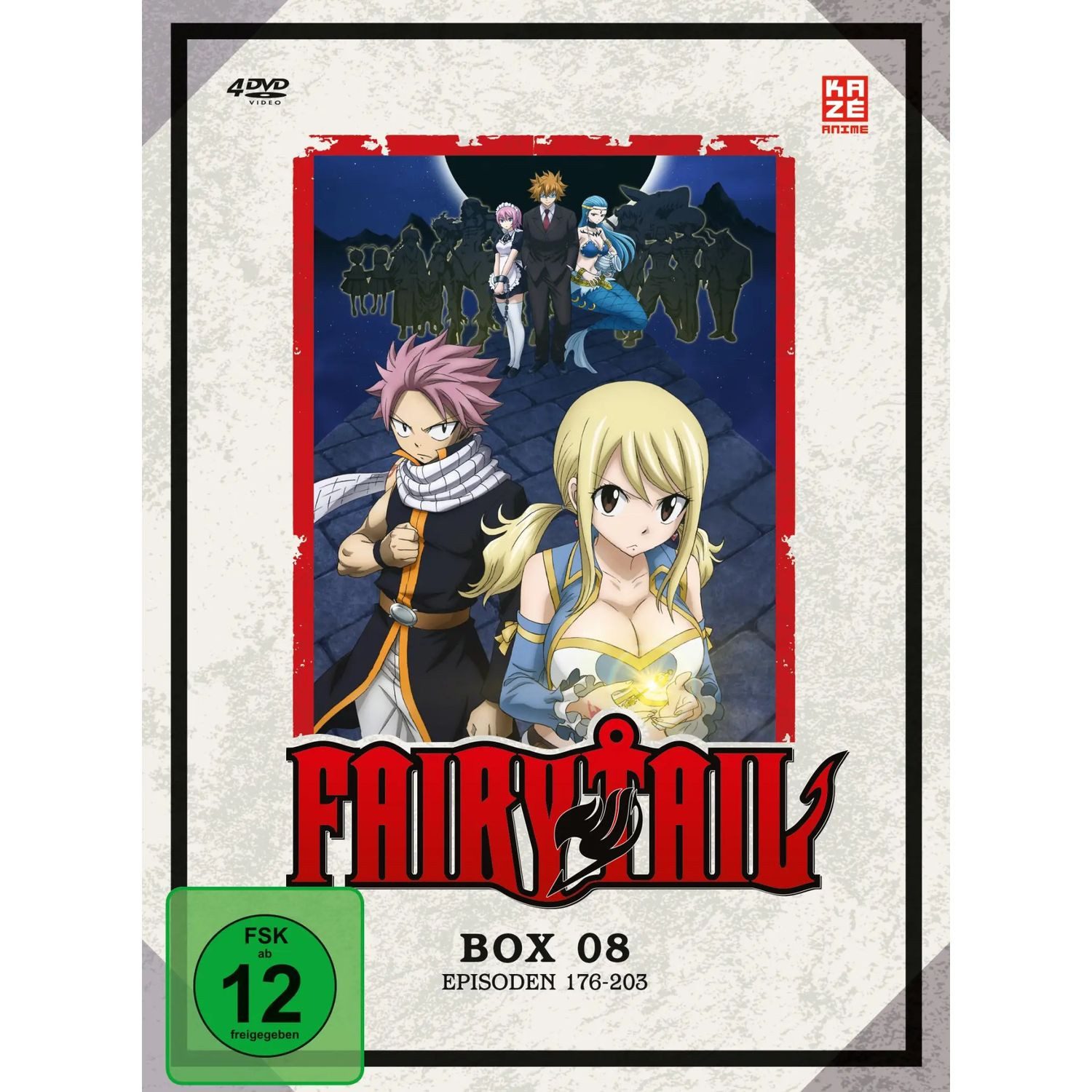 AV Visionen DVD Fairy Tail