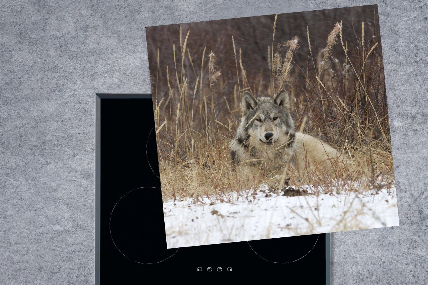 für Arbeitsplatte 78x78 Herdblende-/Abdeckplatte auf cm, tlg), Wolf (1 Tundra, Ceranfeldabdeckung, küche einer MuchoWow Vinyl,