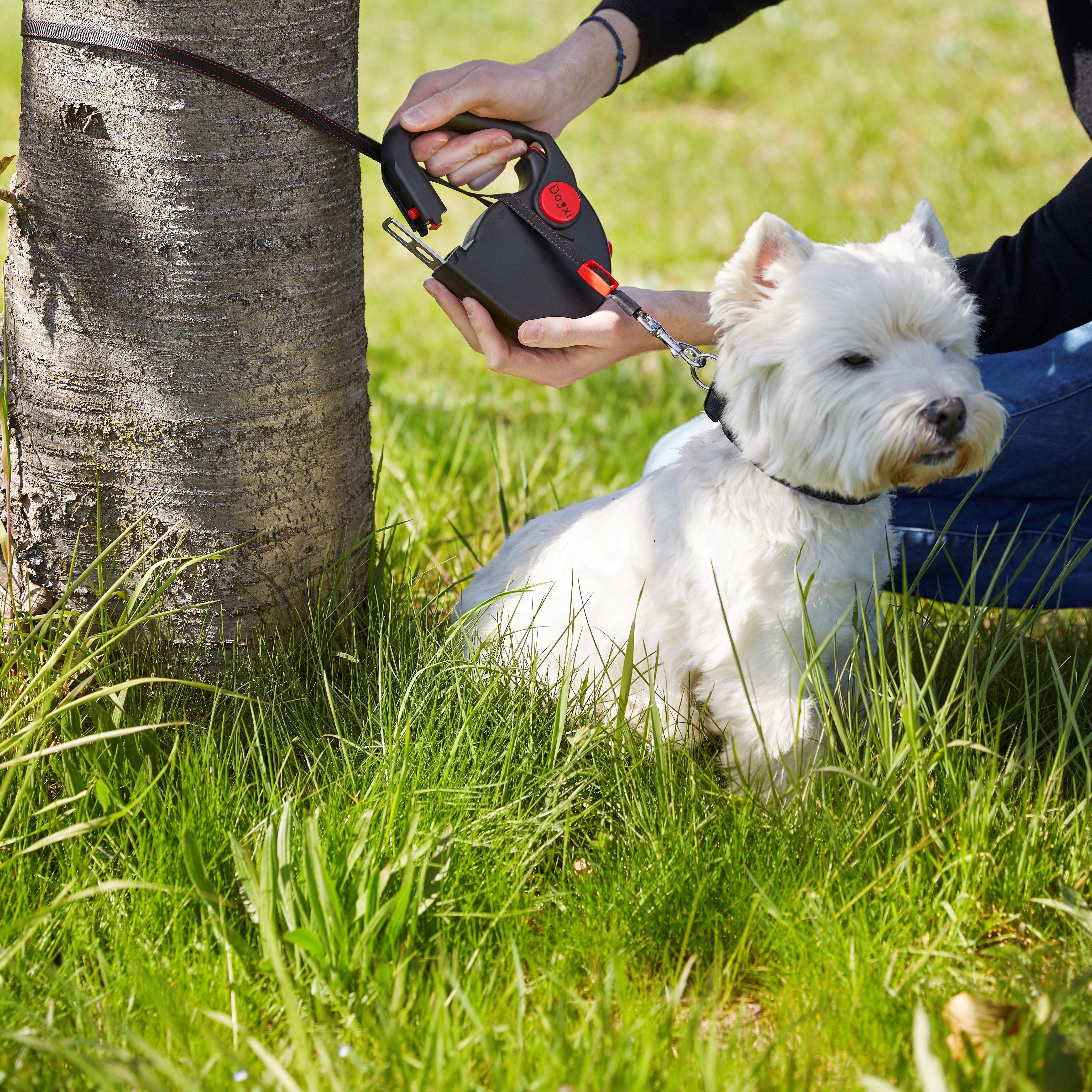 Dogxi Hundeleine Rollleine 5m Hund 25kg Griff aufklappbar Gurtzunge im Auto befestigen, Griff lässt sich durch Druckknopf öffnen für ein bequemes Anleinen