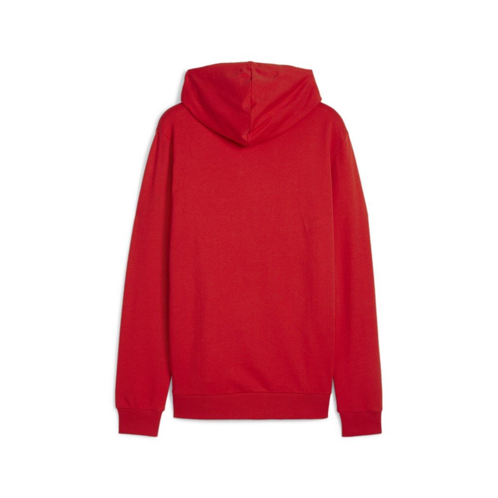 PUMA Kapuzenpullover Herren teamGOAL Casuals Hoody günstig online kaufen