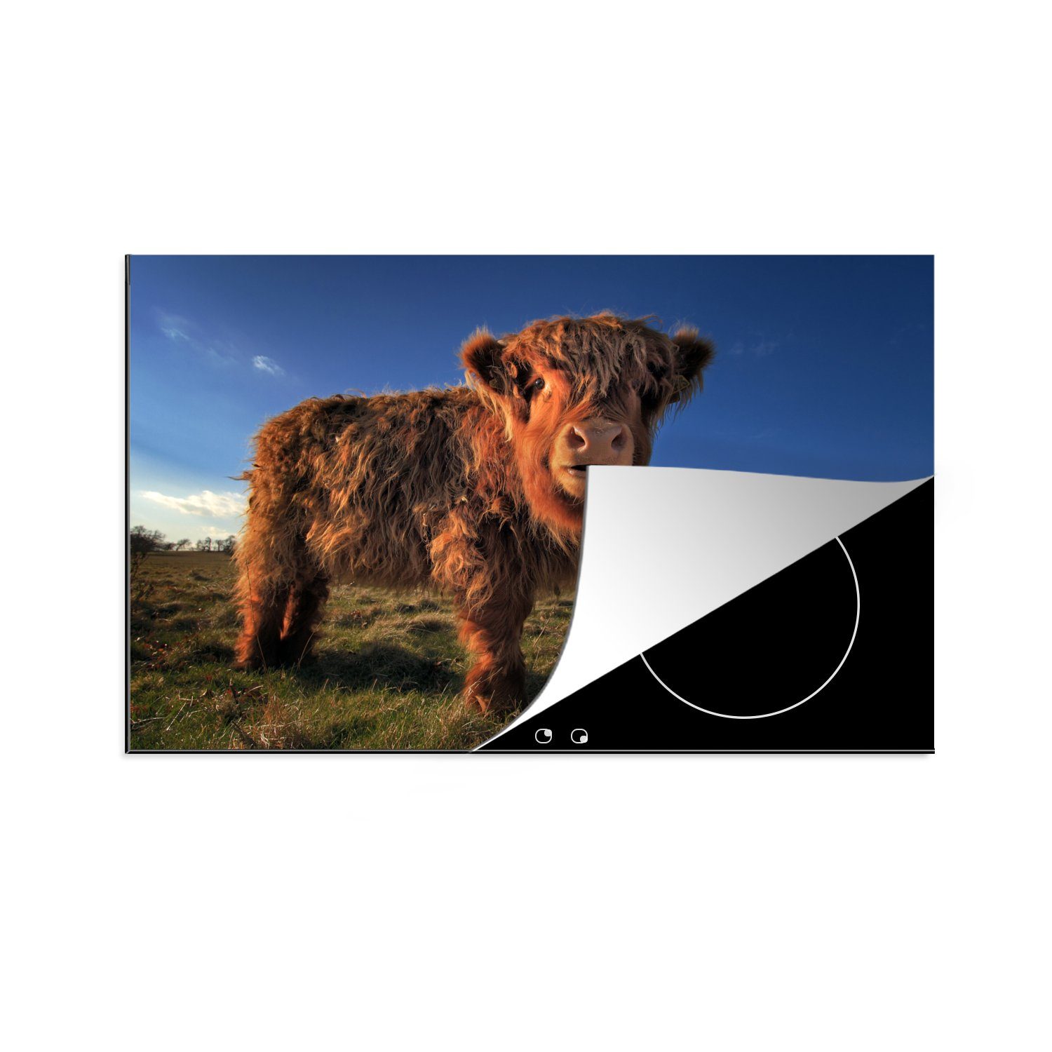 MuchoWow Herdblende-/Abdeckplatte Schottische Highlander - Himmel - Gras, Vinyl, (1 tlg), 81x52 cm, Induktionskochfeld Schutz für die küche, Ceranfeldabdeckung