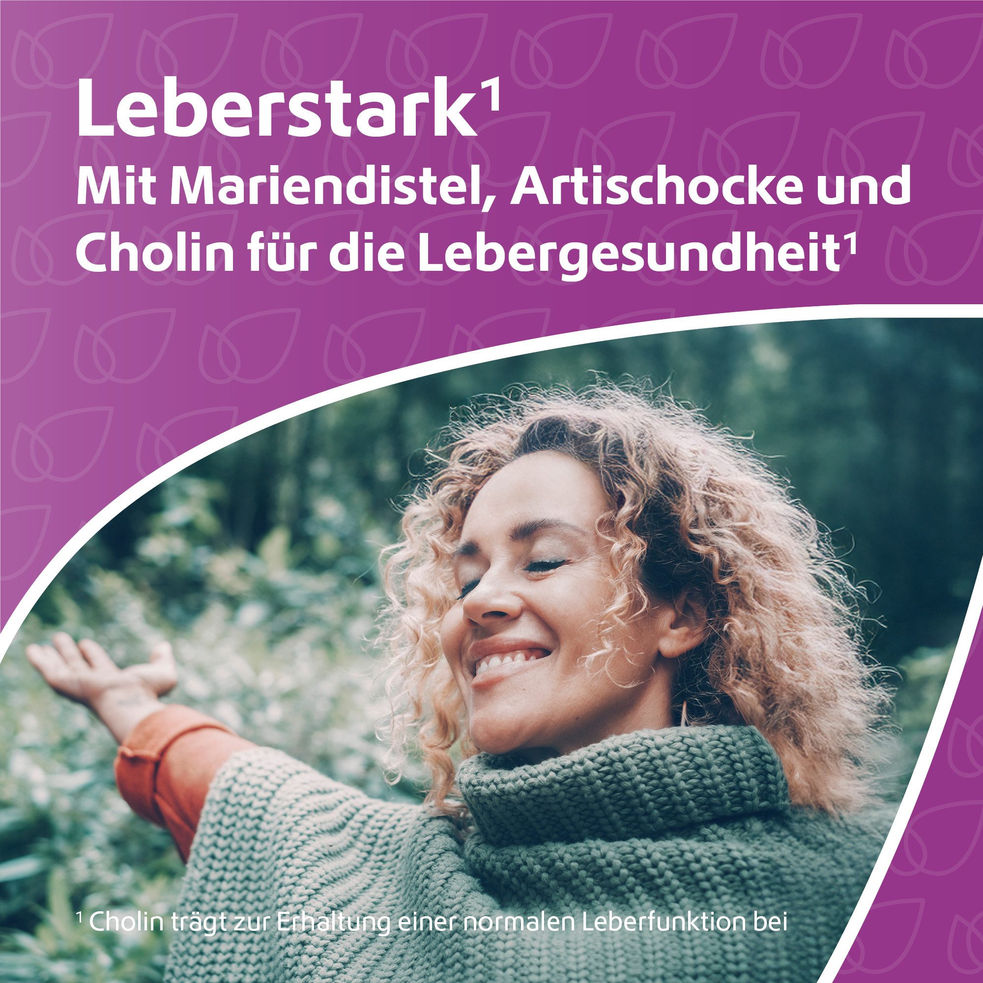 R(h)ein Nutrition Leber-Komplex Mariendistel + Artischocke + Cholin für den Stoffwechsel Kapseln, 84.2 g, Cholin für die Leberfunktion kombiniert mit Folsäure und Vitamin B12