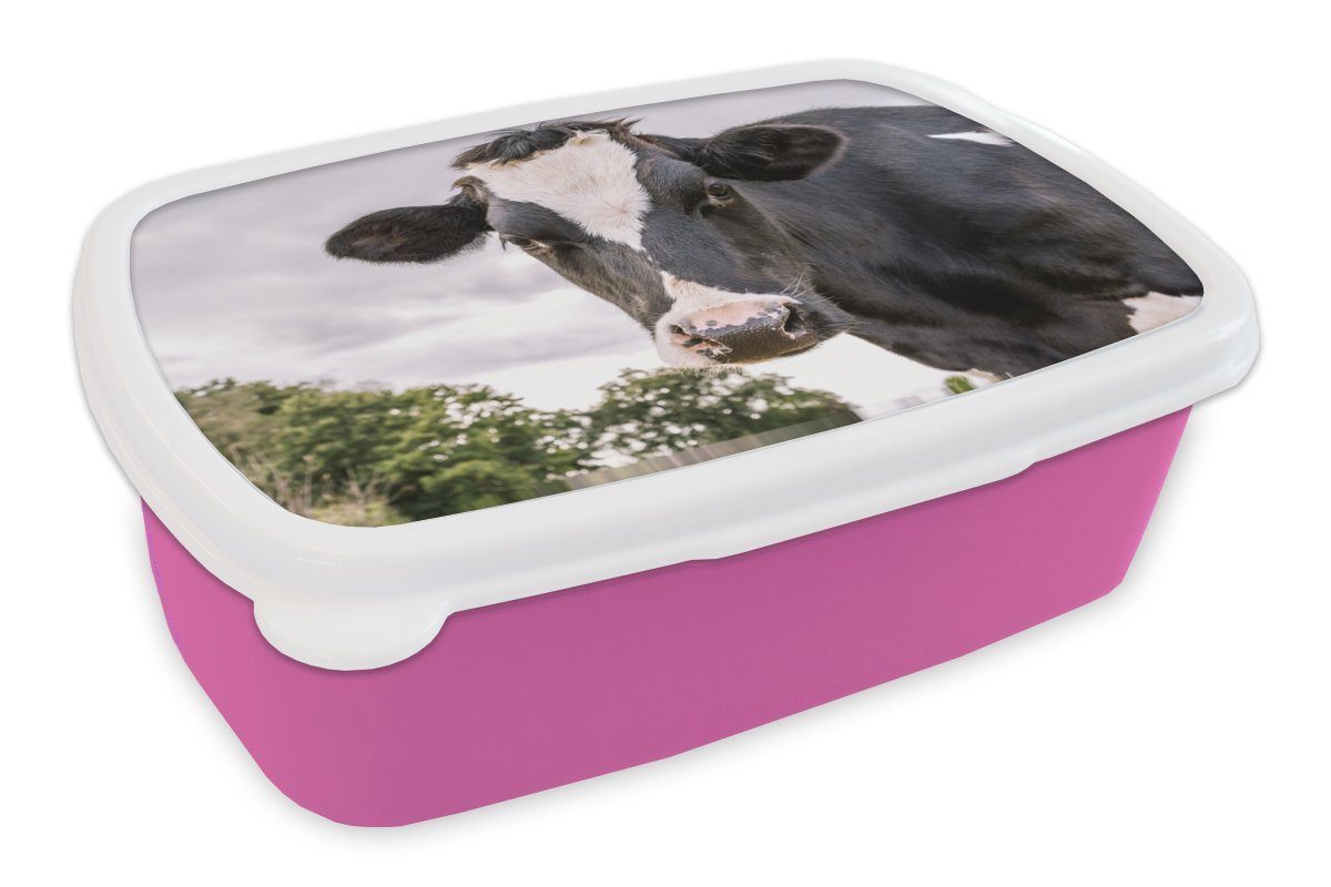 MuchoWow Lunchbox Kuh - Tier - Porträt - Schwarz, Kunststoff, (2-tlg), Brotbox für Erwachsene, Brotdose Kinder, Snackbox, Mädchen, Kunststoff rosa