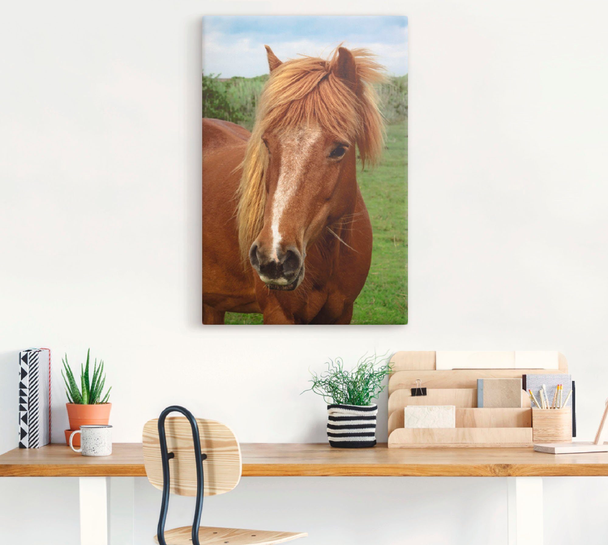(1 Wandbild Artland Haustiere Wandaufkleber oder Pferd, Hallo Alubild, in Größen Poster St), als Leinwandbild, versch.