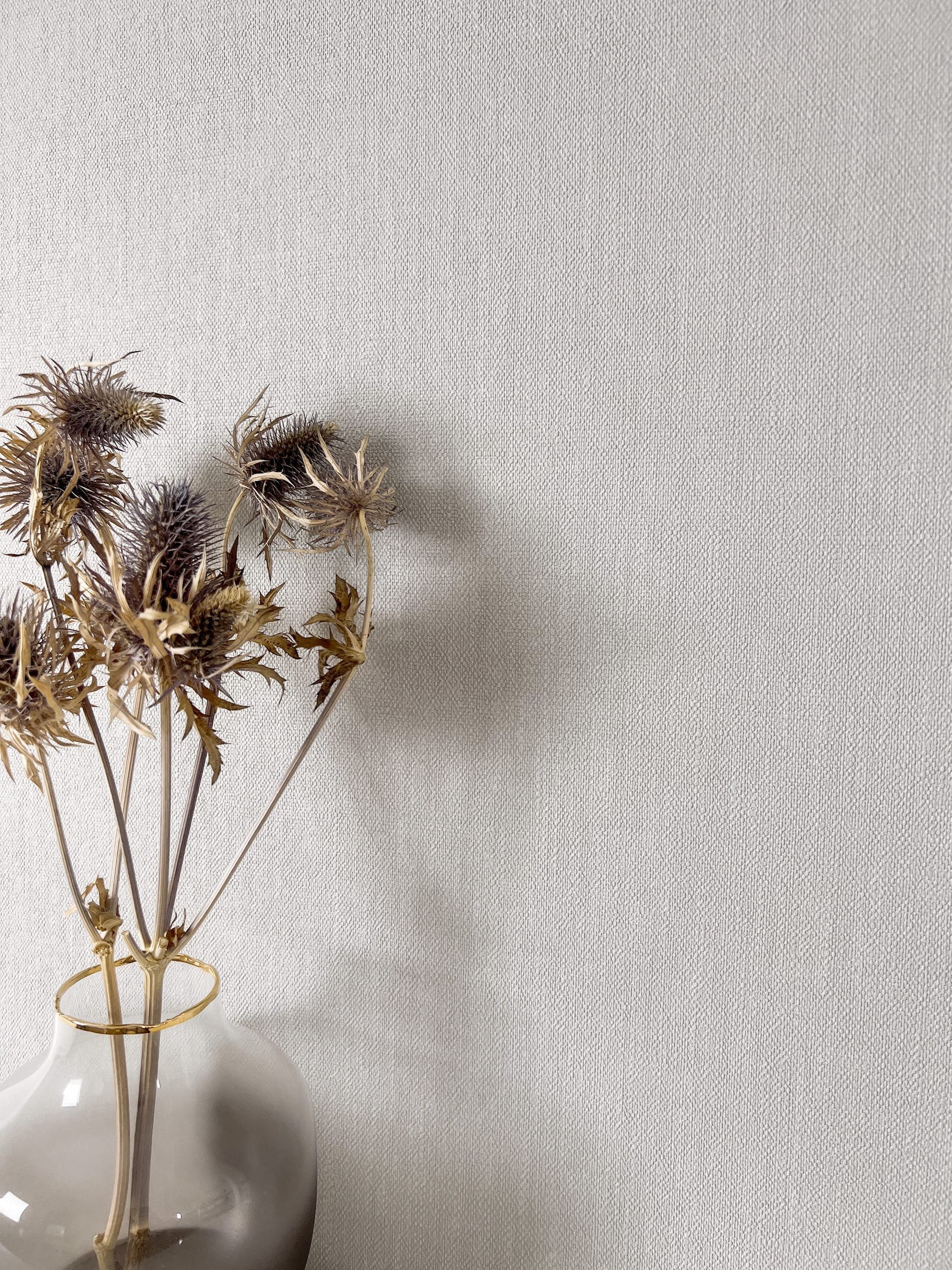 Newroom Vliestapete, Grau Tapete Uni Einfarbig günstig online kaufen