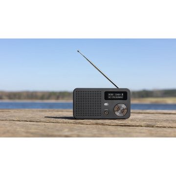 IMPERIAL by TELESTAR DABMAN 13 DAB+ Digitalradio UKW USB MicroSD Akkubetrieb Digitalradio (DAB) (DAB+, UKW-Radio, Digitalradio, Auswechselbarer Li-Ion Akku)