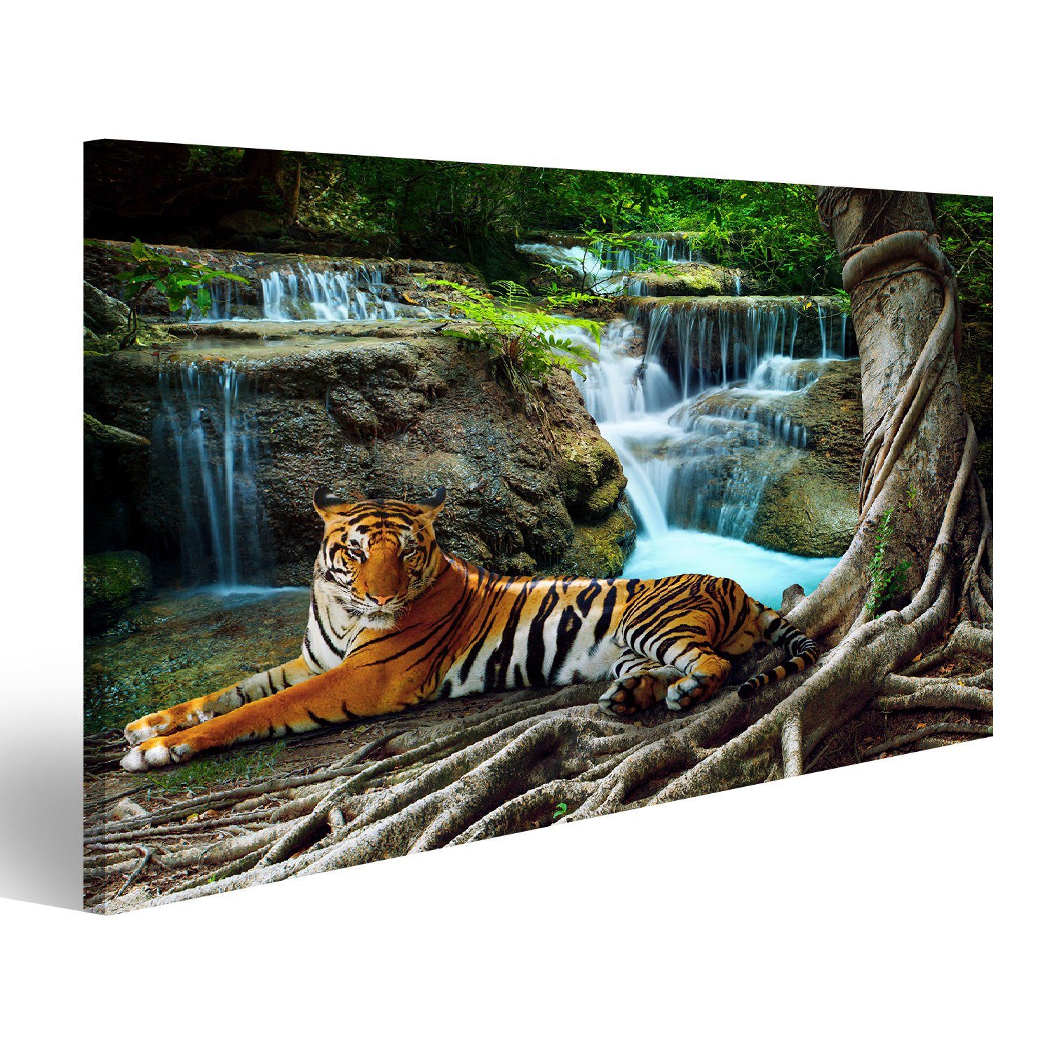 Leinwandbild Bild auf Leinwand Indochina Tiger Raubkatze Panthera tigris corbetti W