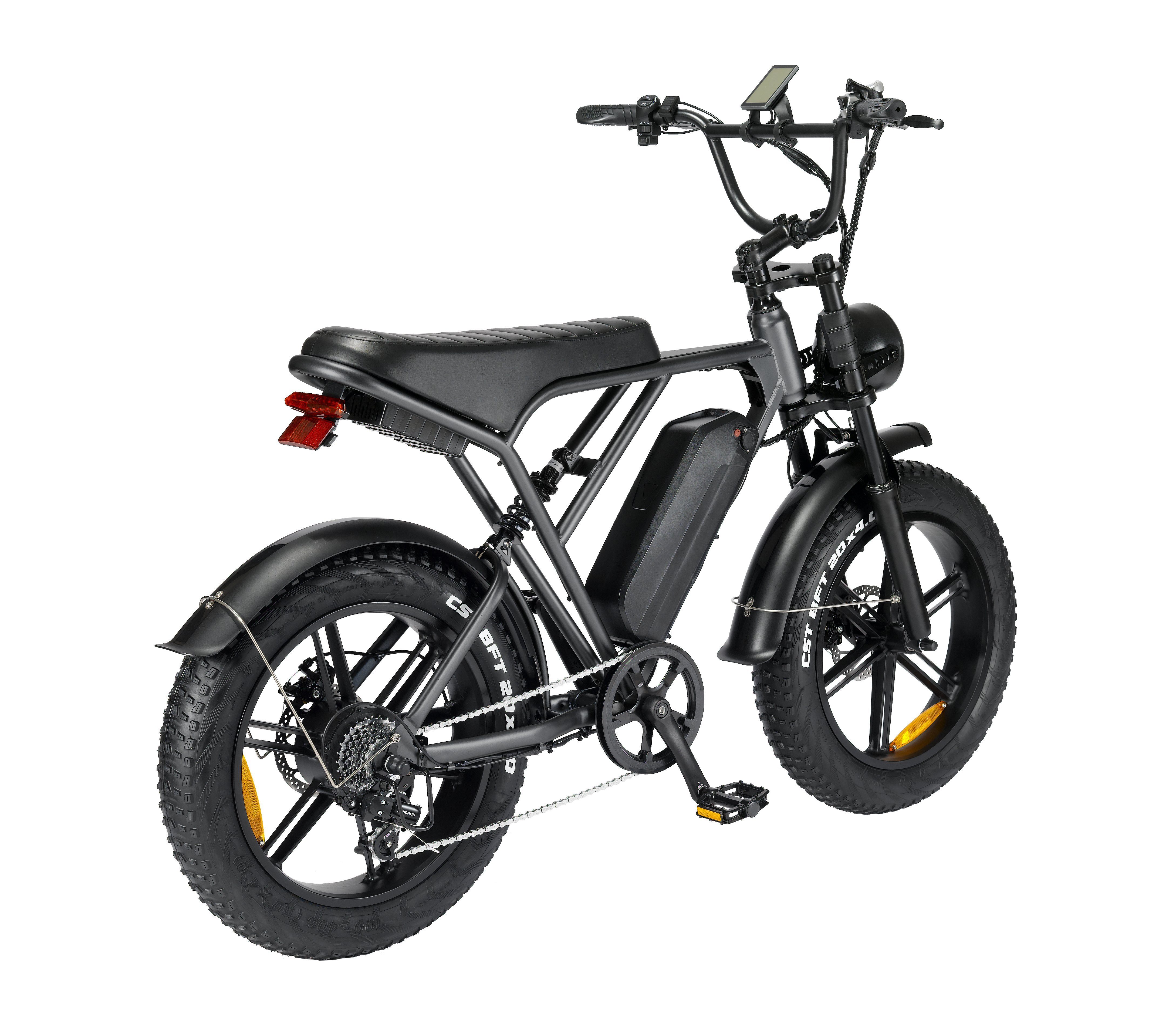 20Zoll E-Bike Citybike,250W/48V/12Ah, DOTMALL Elektrische E-Bike H9 Mountainbikes
